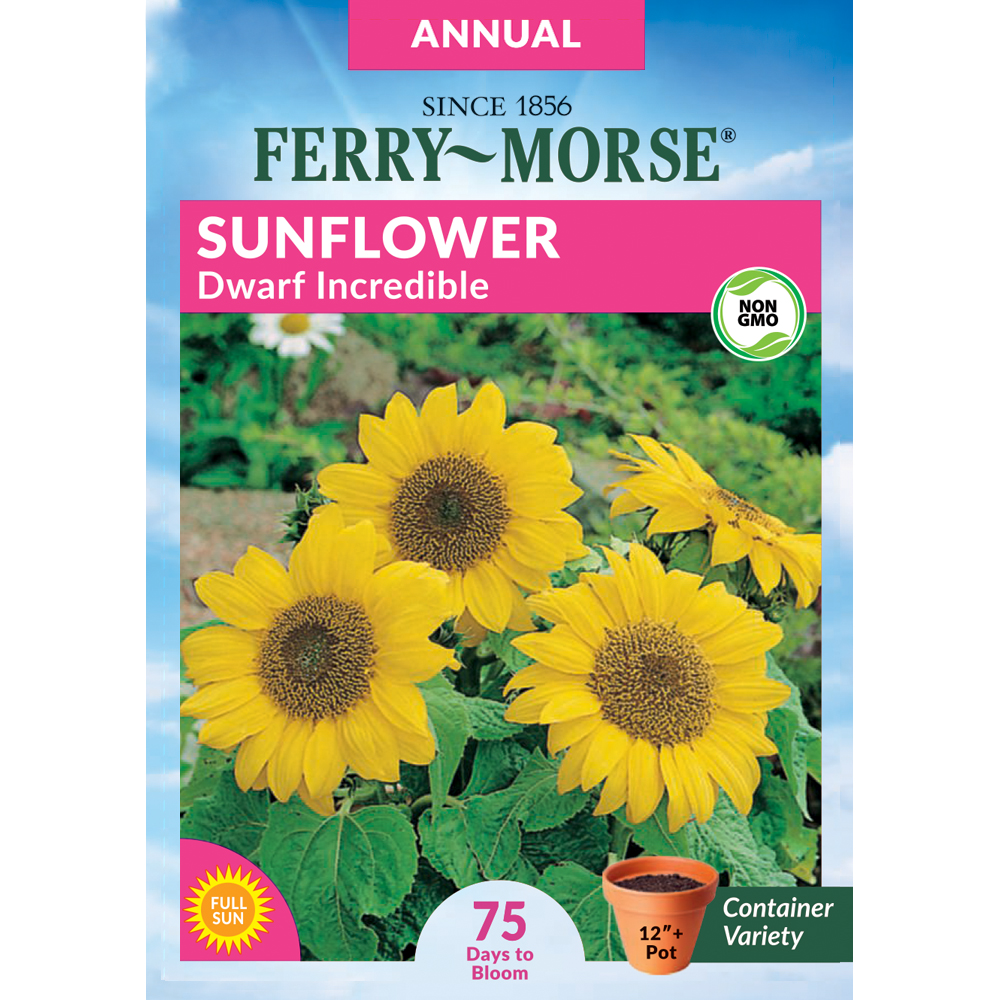 Shop All Annual Flower Seeds - Ferry-Morse
