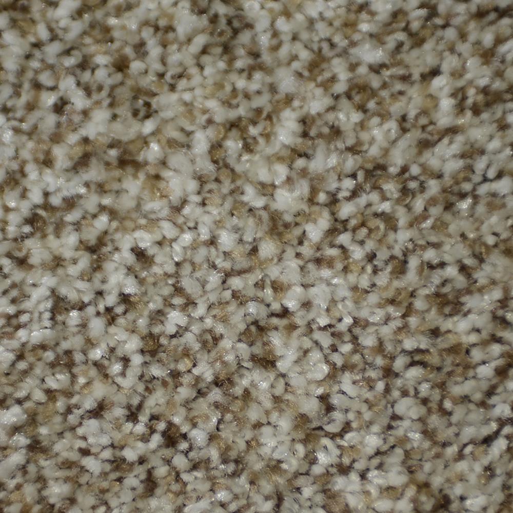 STAINMASTER 5332-114 Signature On Broadway Houdini Textured Indoor Carpet