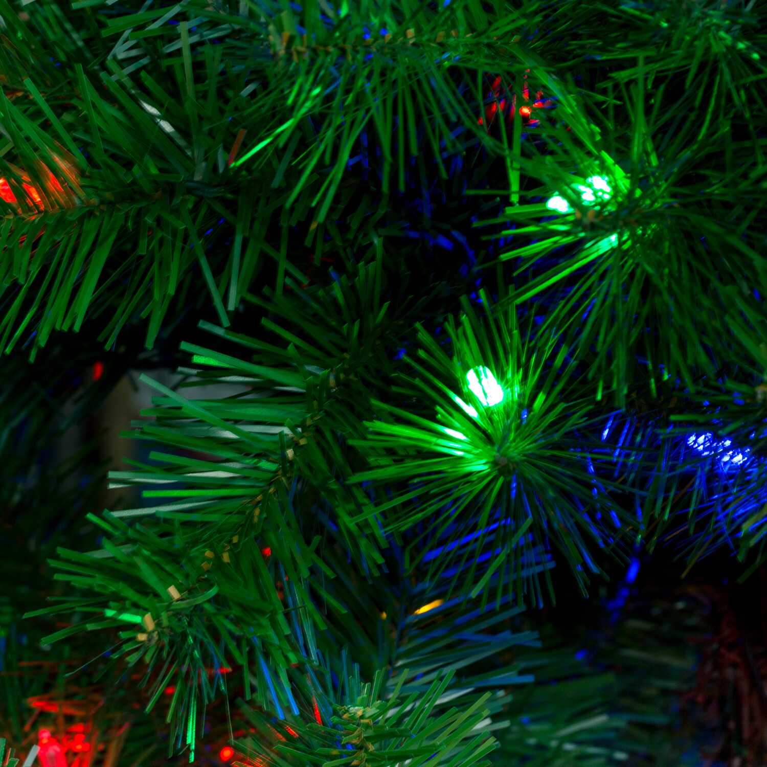 Holiday Living W14L0437  - View #6