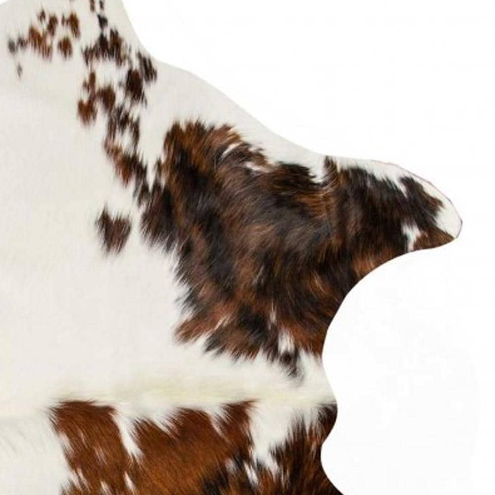 HomeRoots 317338 rugs - View #6