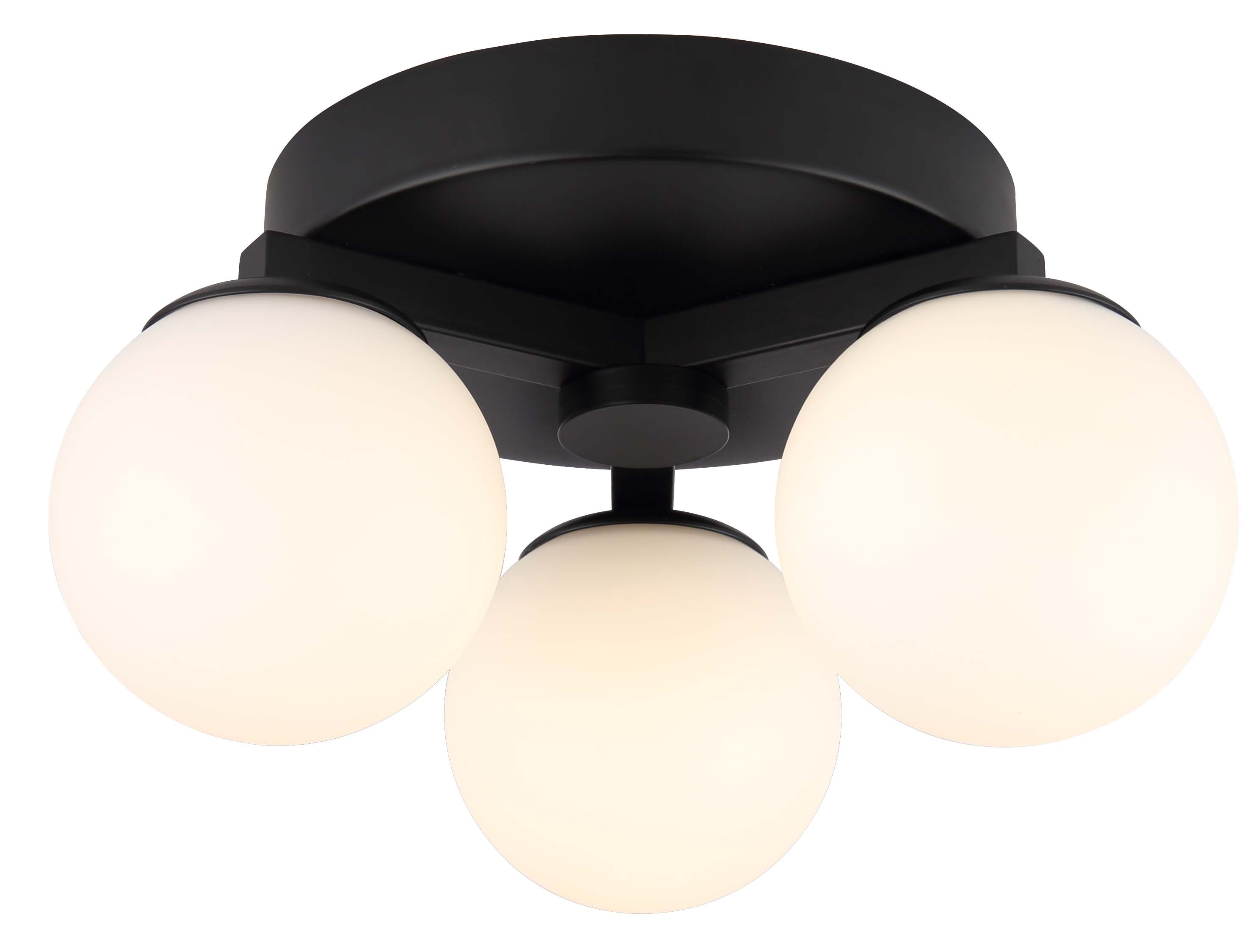 Matte Black Glass LED Globe Ceiling/Wall Light