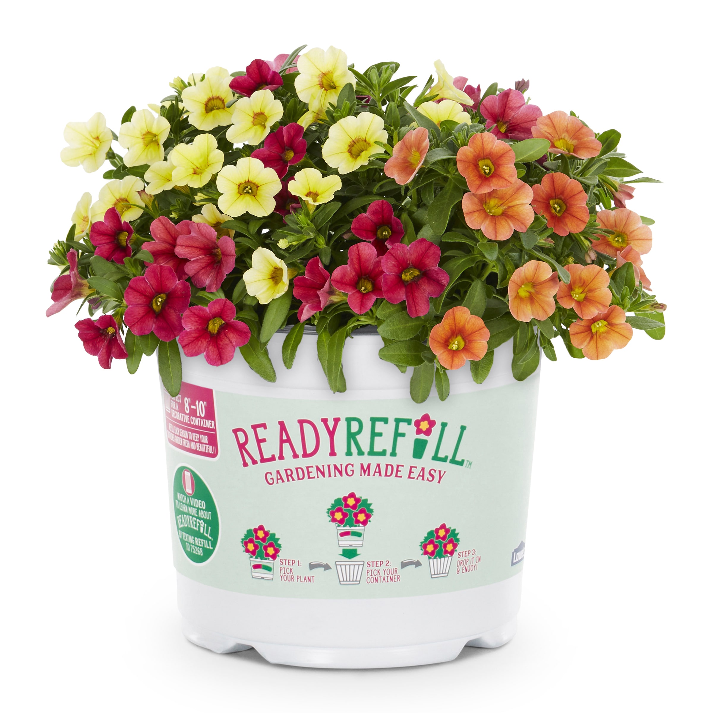 Ready Refill 1-6282 Multicolor Mixed Annuals Combinations in 1.5-Gallon Pot