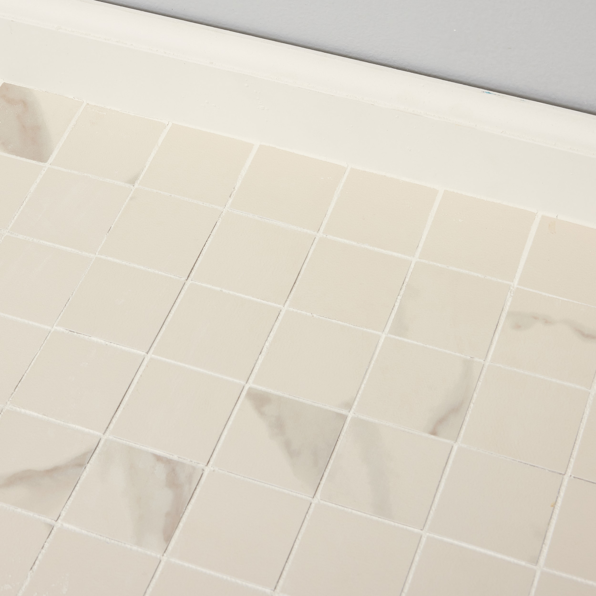 Style Selections Calacatta White 12-in x 12-in Matte Porcelain