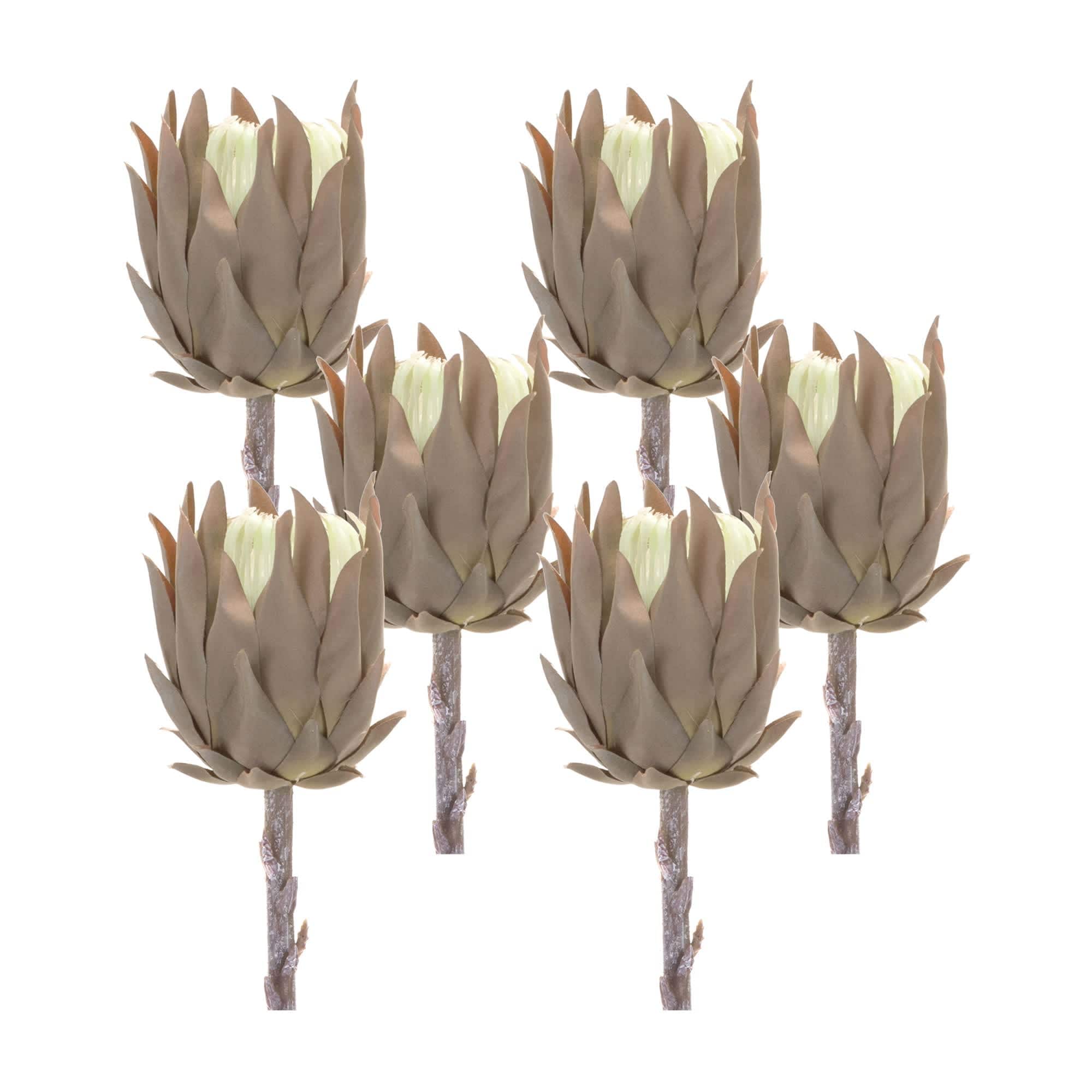 Melrose International 85655DS Protea Stem (Set of 6) 20H Plastic