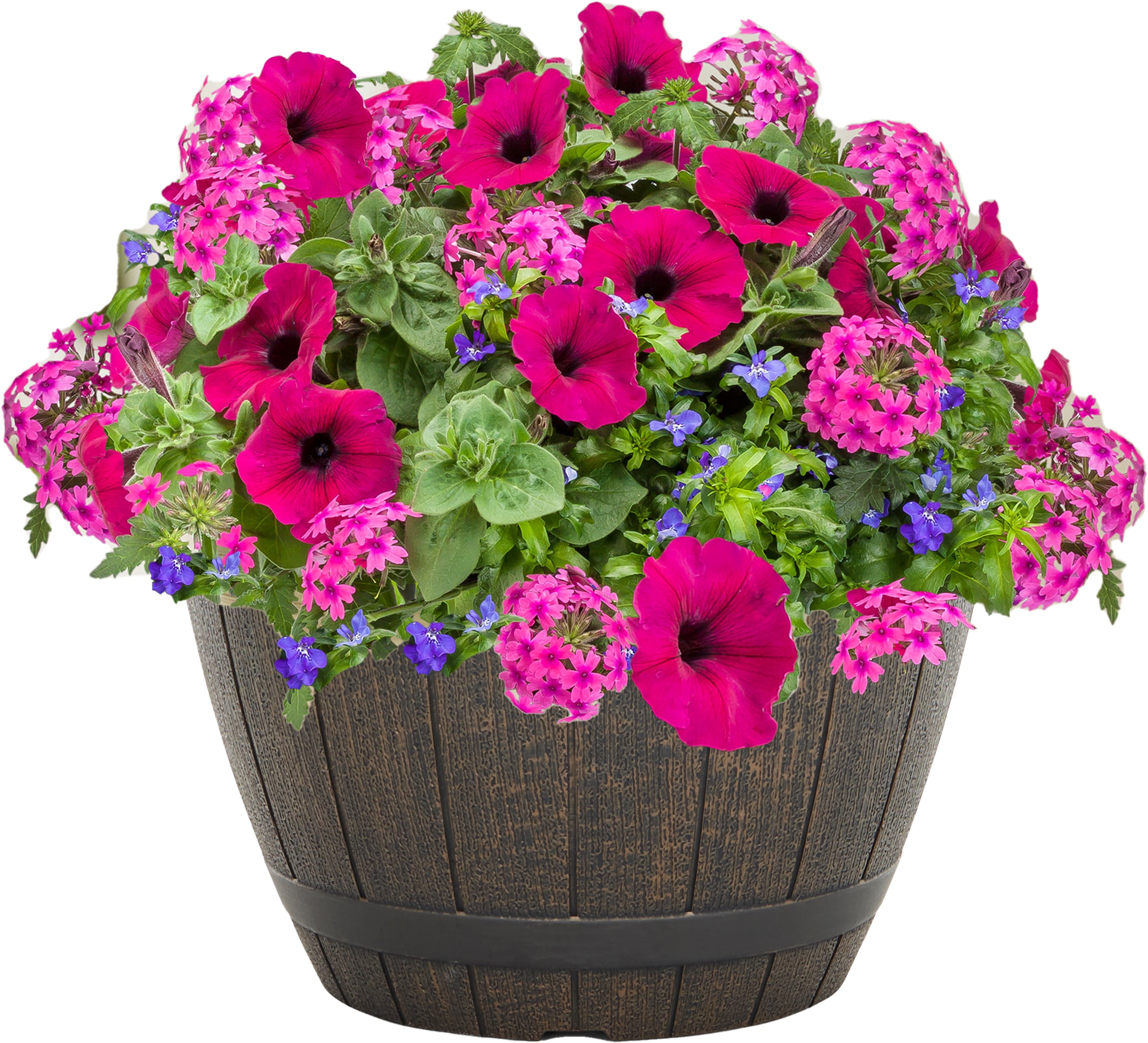 Lowe's NURSERY Multicolor Summer to Remember in 2.5 Gallon(s) Planter