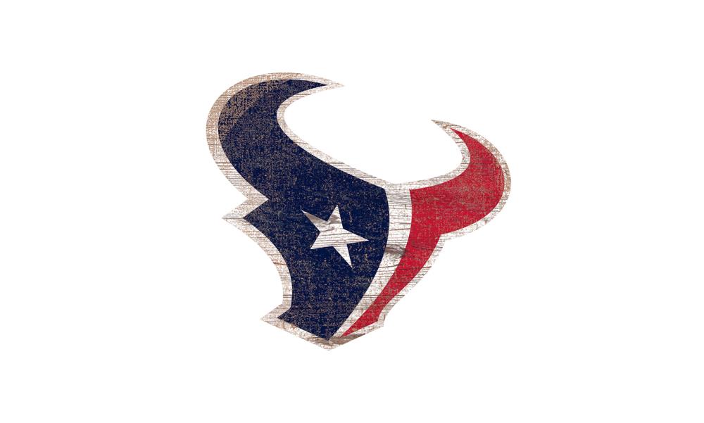 Fan Creations Houston Texans 24-in H x 24-in W Sports Print at