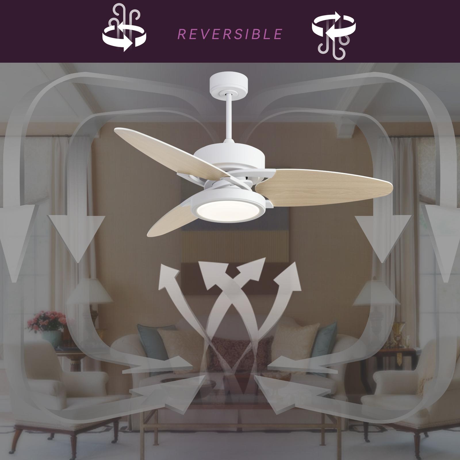 Bayfeve BFXB-5206ADCBXE26 Ceiling-Fans - View #5