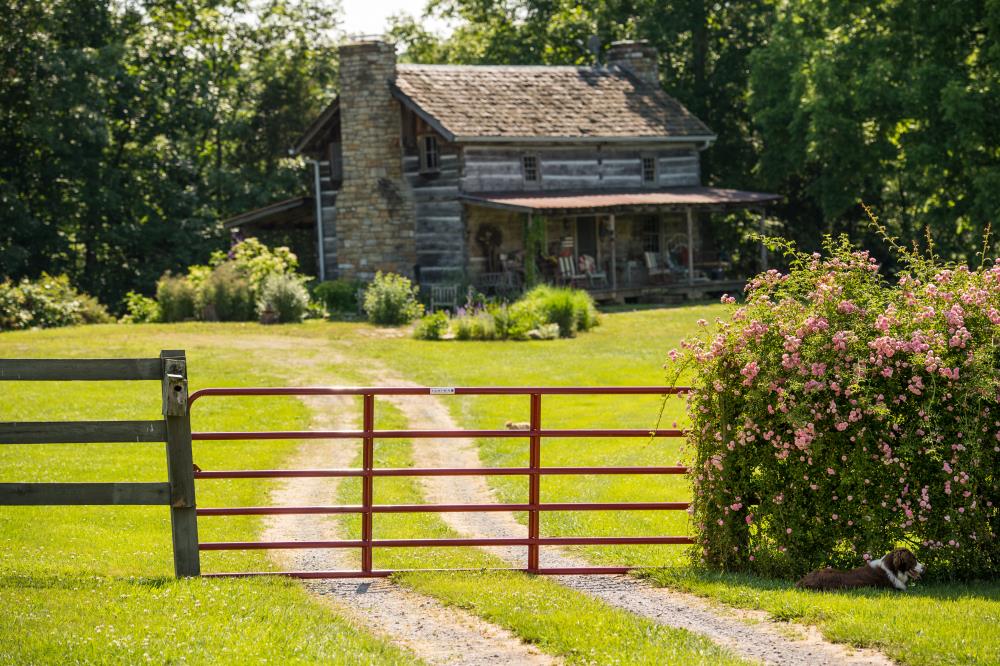 Tarter 6GG20 Fence-Gates - View #2