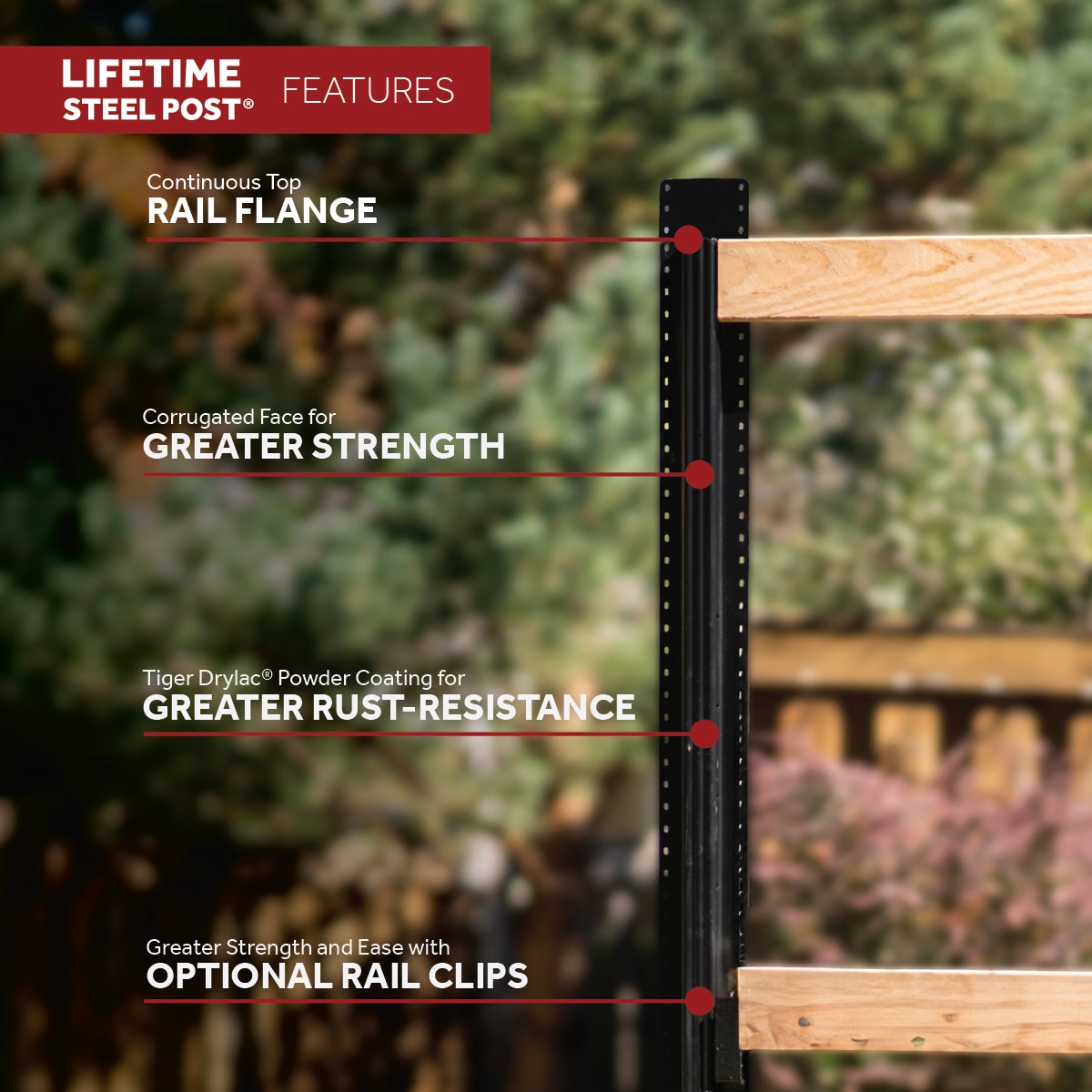 Lifetime Steel Post LTP 80220 Fence-Gates - View #11