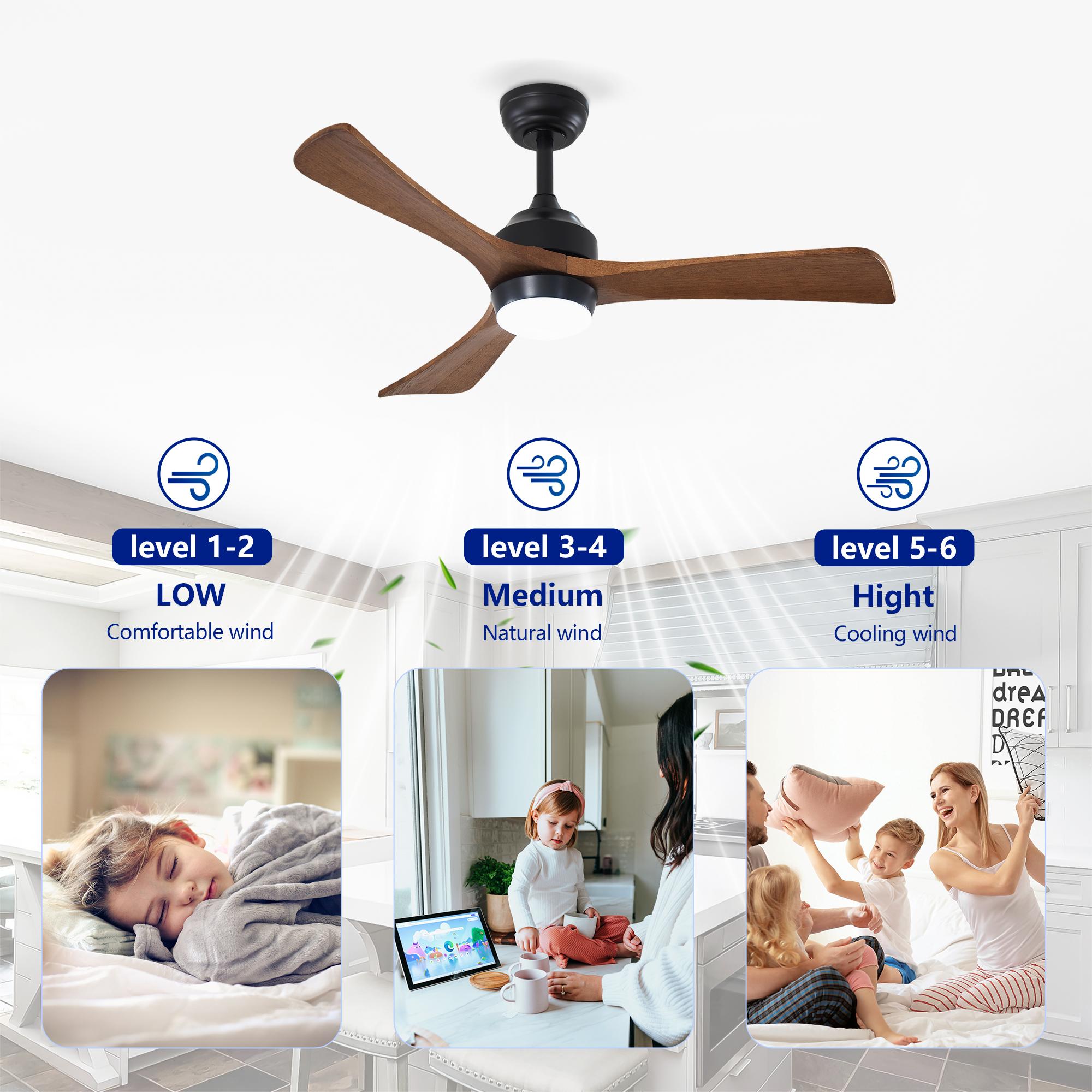 Bayfeve BF-460815-MP Ceiling-Fans - View #10