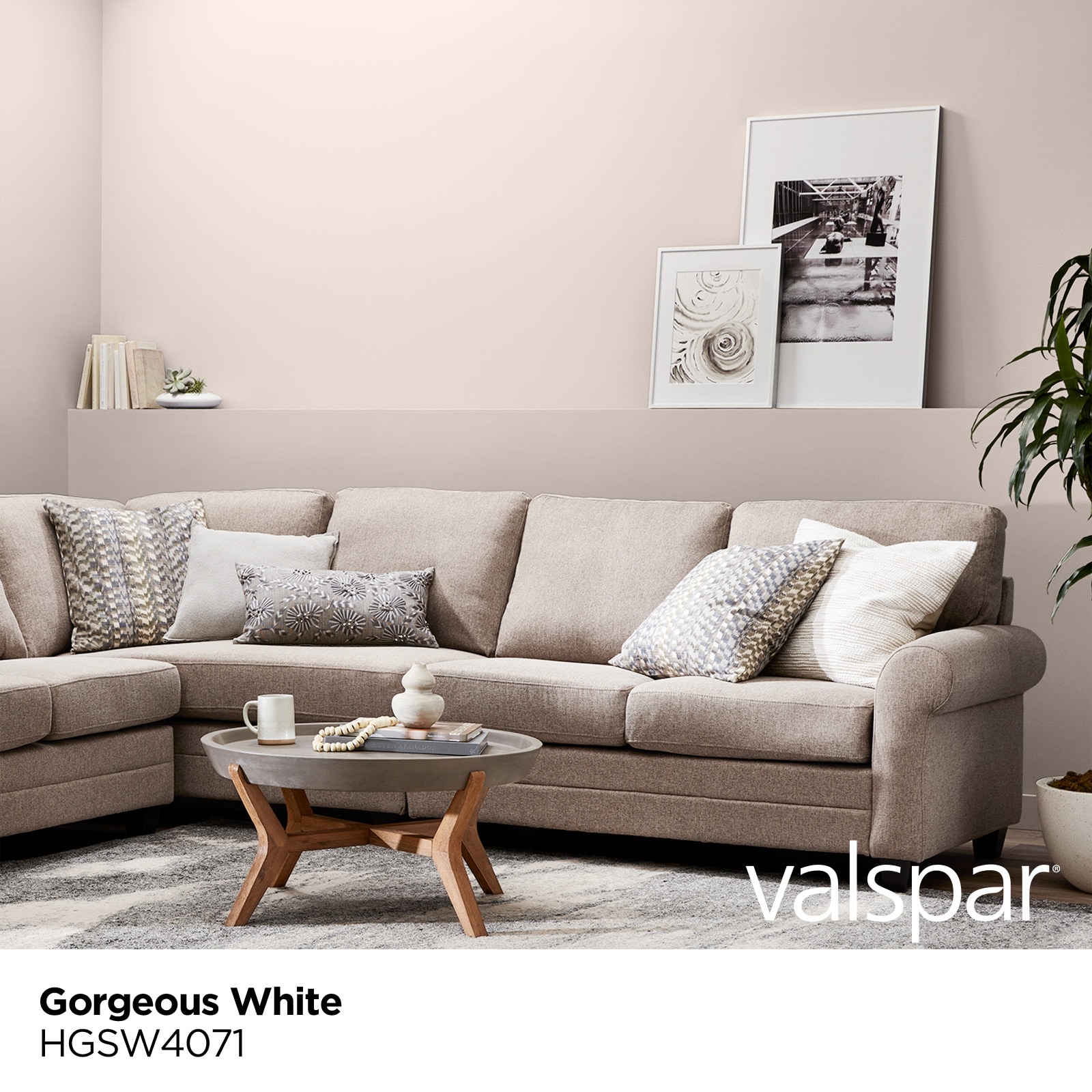 HGTV HOME by Sherwin-Williams HGSW4071 Paint-Samples - View #2