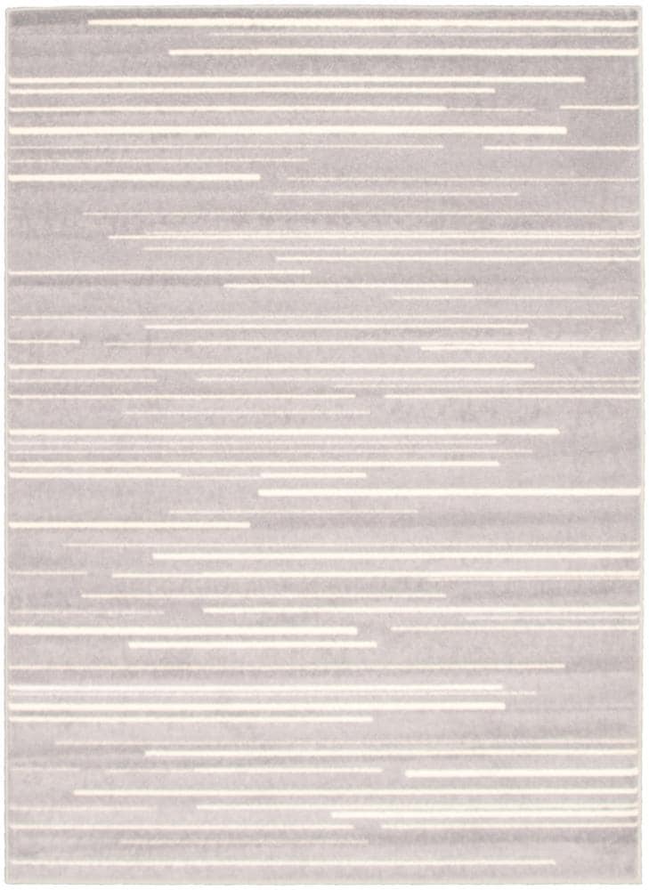ECARPETGALLERY 315452 Fika 4 x 6 (ft) Loomed Polypropylene Silver Cream Rectangular Indoor Bohemian/Eclectic Area rug