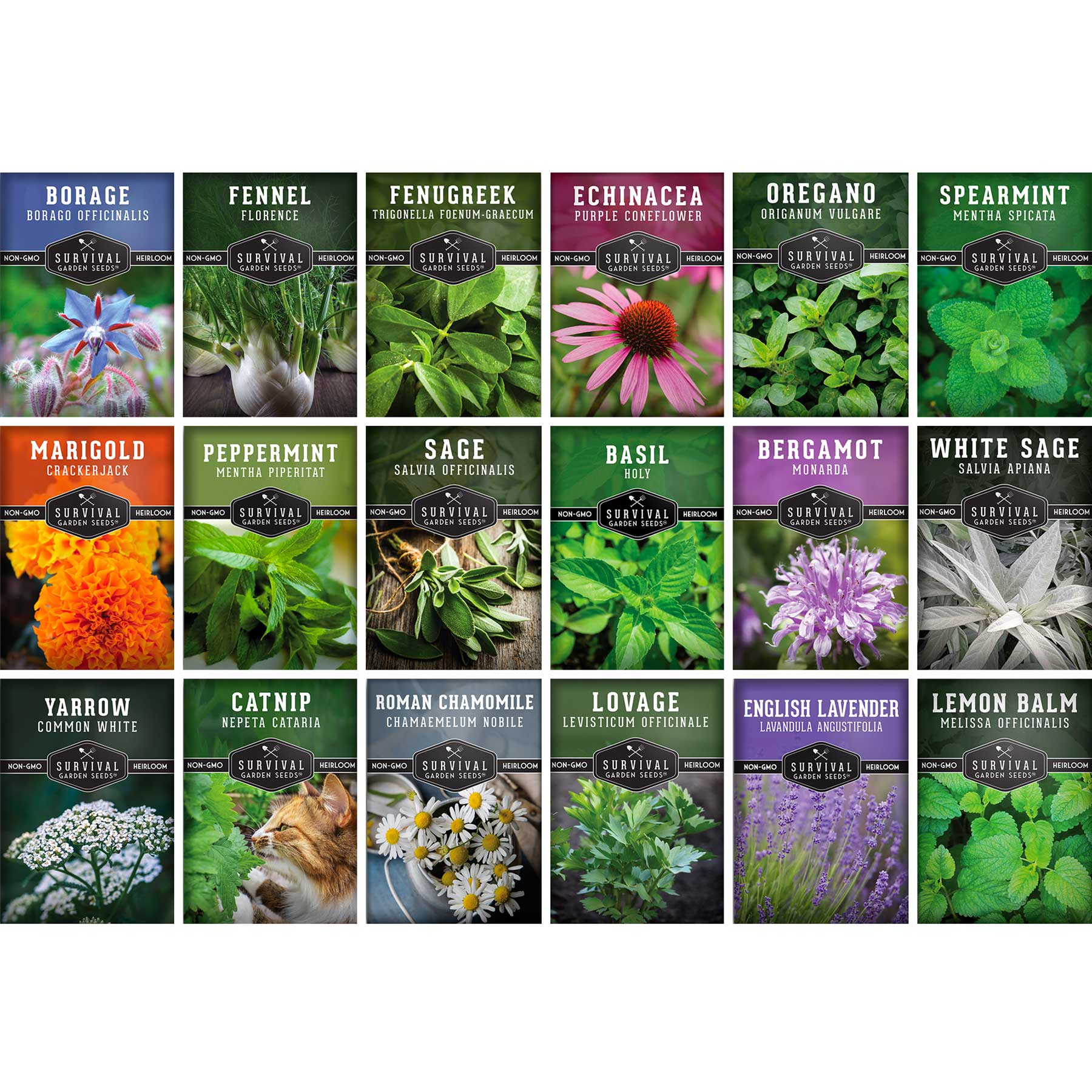 Survival Garden Seeds Medicinal Herb 18 Packet Seed Collection for