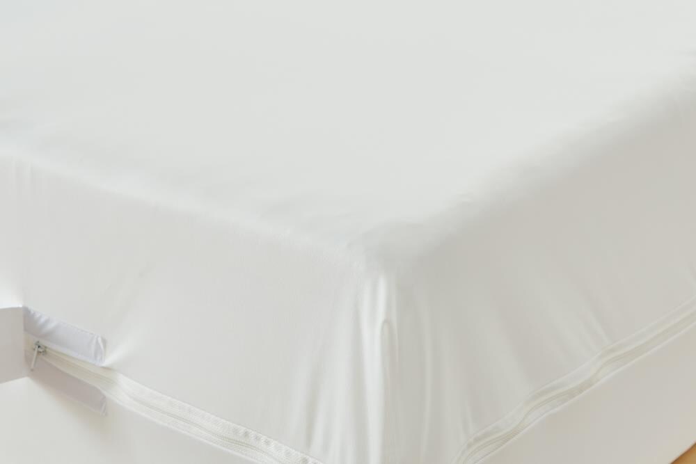 Bargoose Home Textiles 766080Z Mattress-Covers - View #4