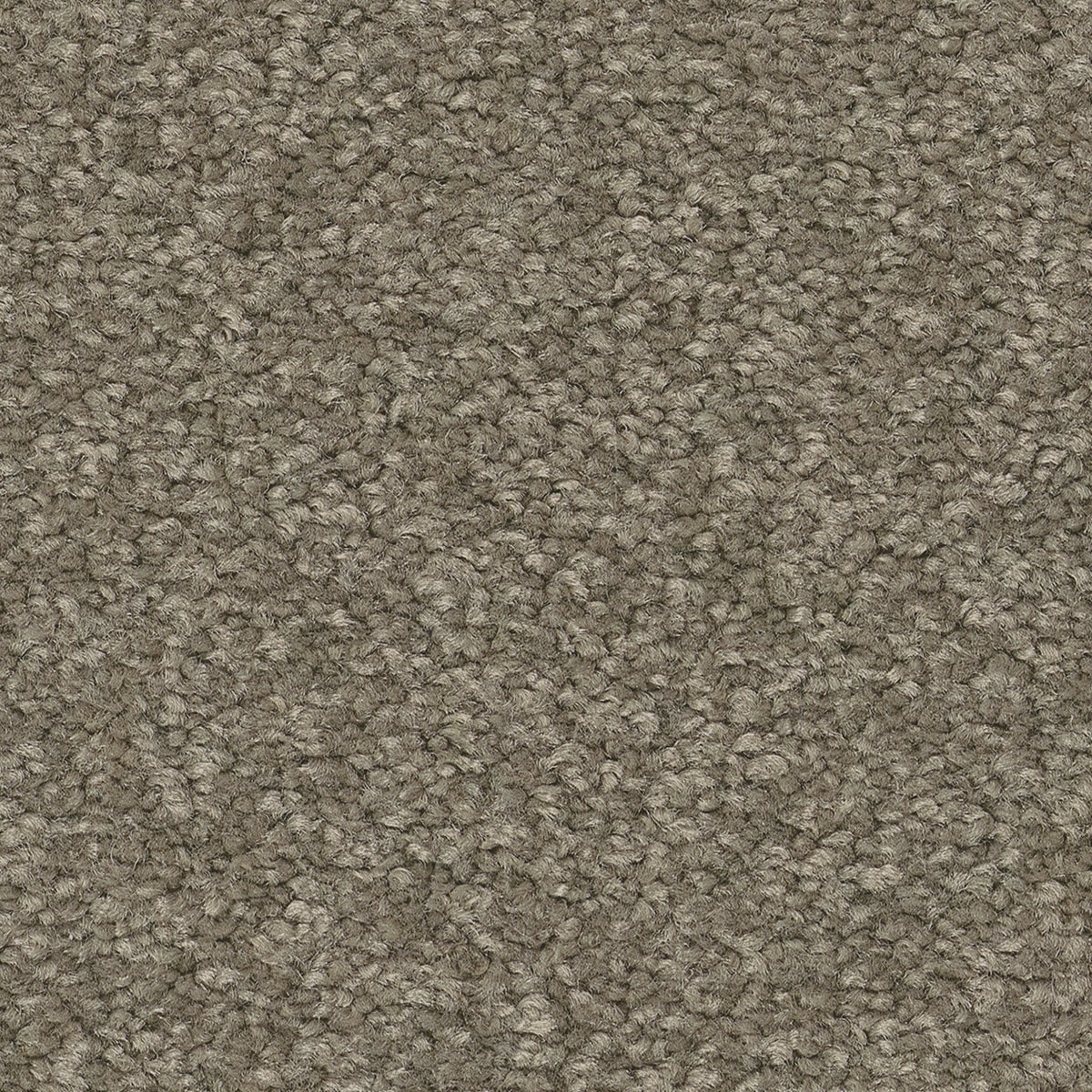 STAINMASTER PetProtect 7L883 - 520 - SAMP (Sample) Best of Breed III River Reed Gray 68.2-oz sq yard Nylon Textured Indoor Carpet
