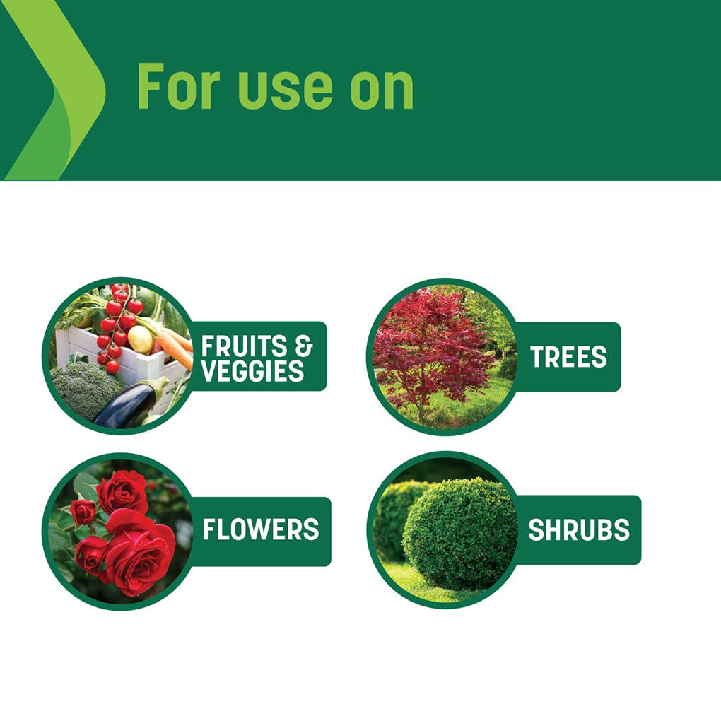 Sta-Green 12444-6 Plant-Food - View #5