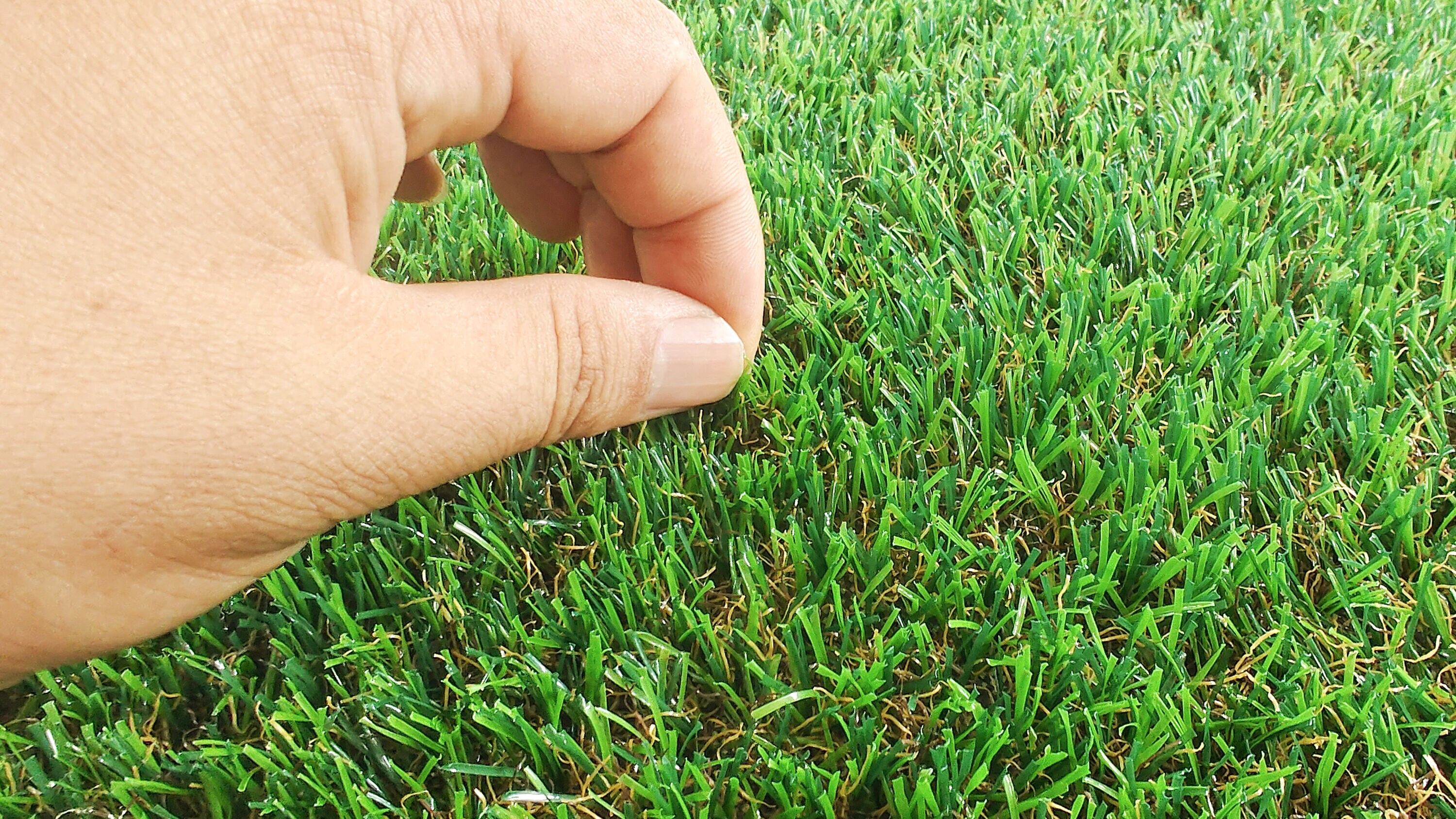 Tatayosi JJ-334787 Precut-Artificial-Grass - View #4