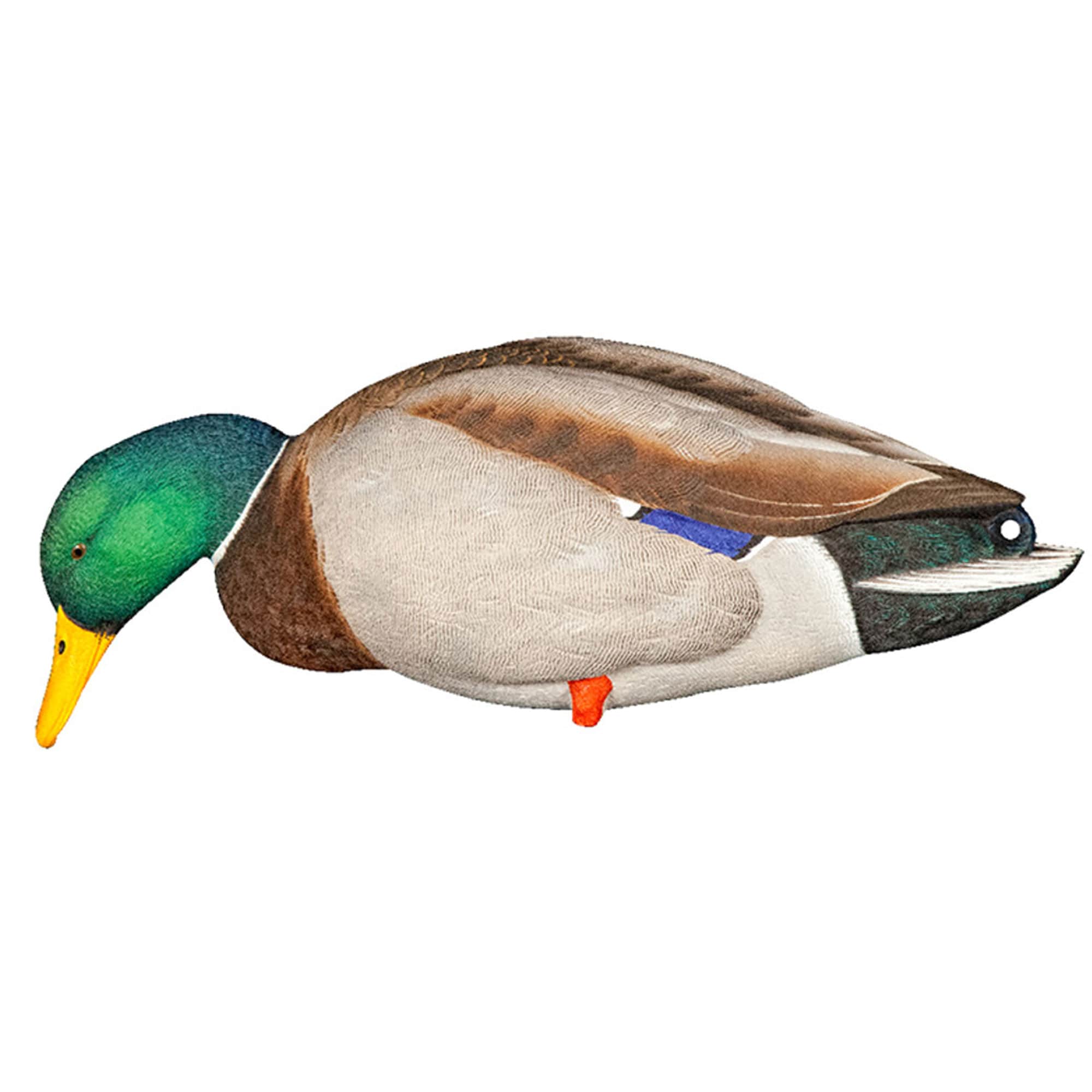  Avian X 399260 Hunting-Equipment - View #10