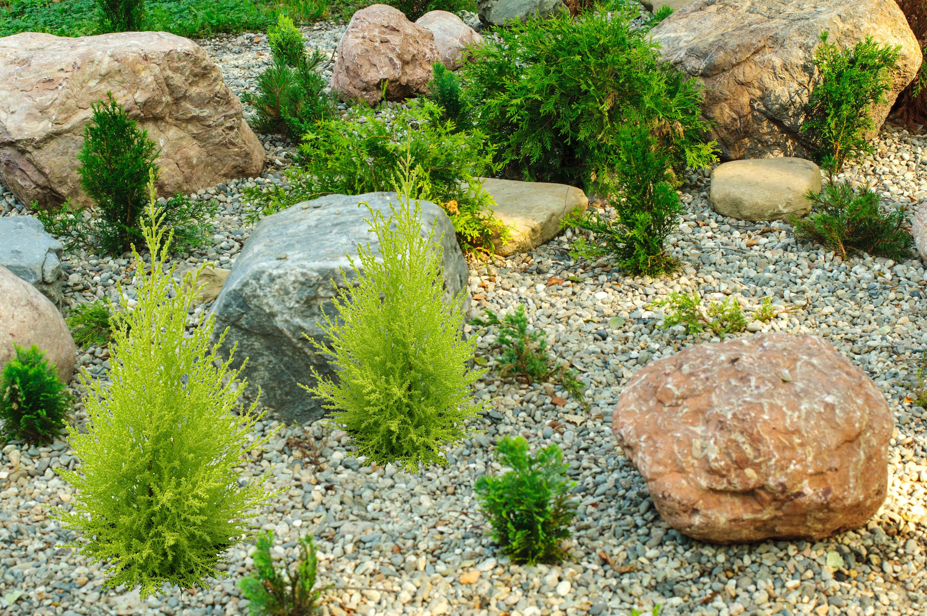  2672 perennials - View #10