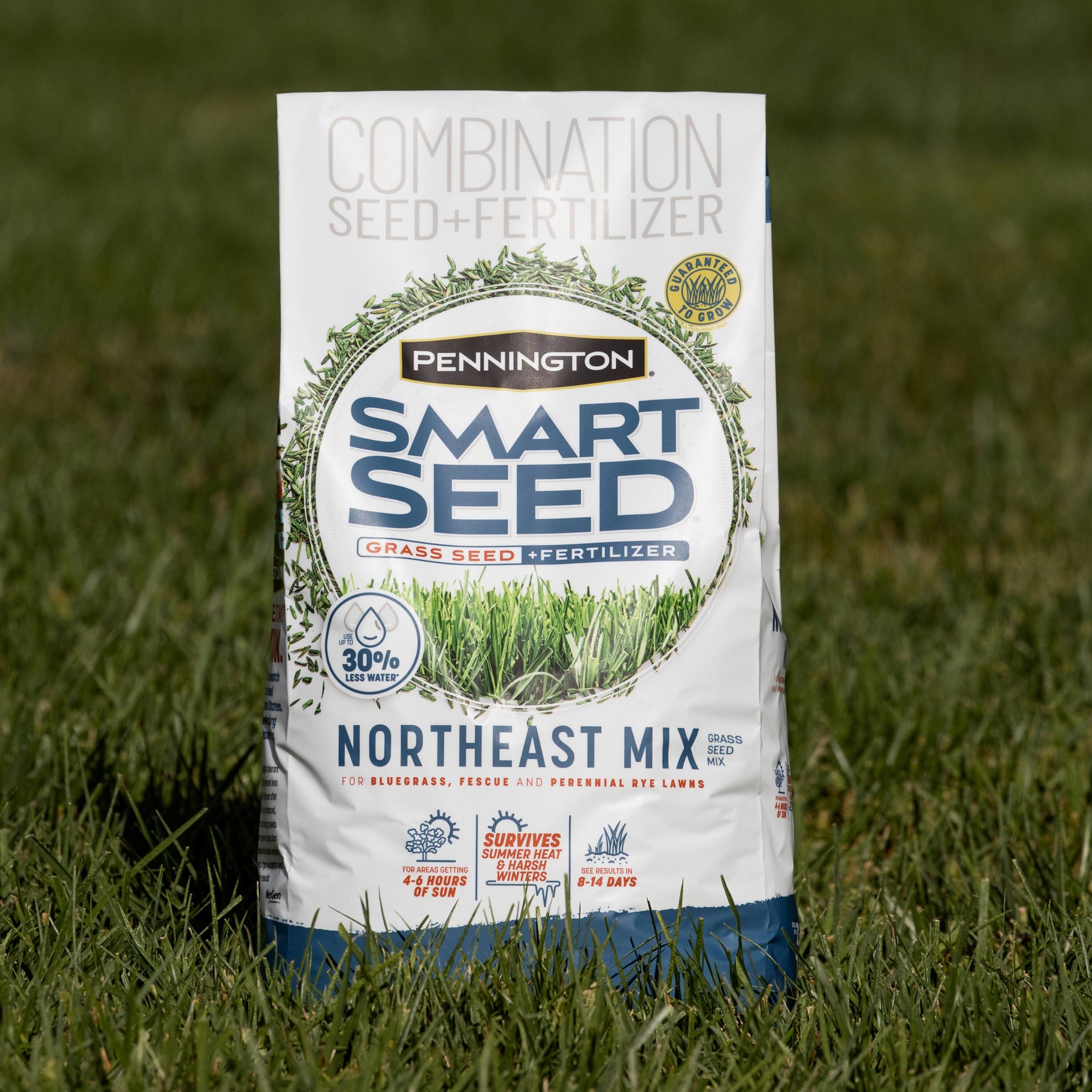 Pennington 2149602267 Grass-Seed - View #11