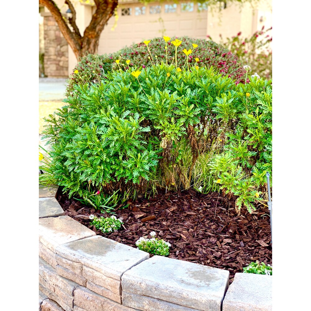  LWBRX02 Bagged-Mulch - View #6