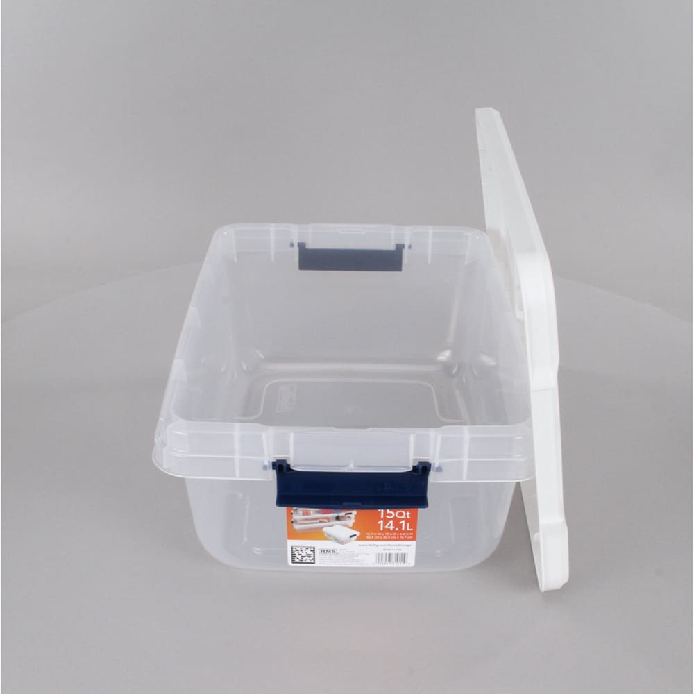 10 Pieces Storage Bins with Lids Bulk 3.2 Qt, 1.32 Qt Clear Small Plastic  Storag