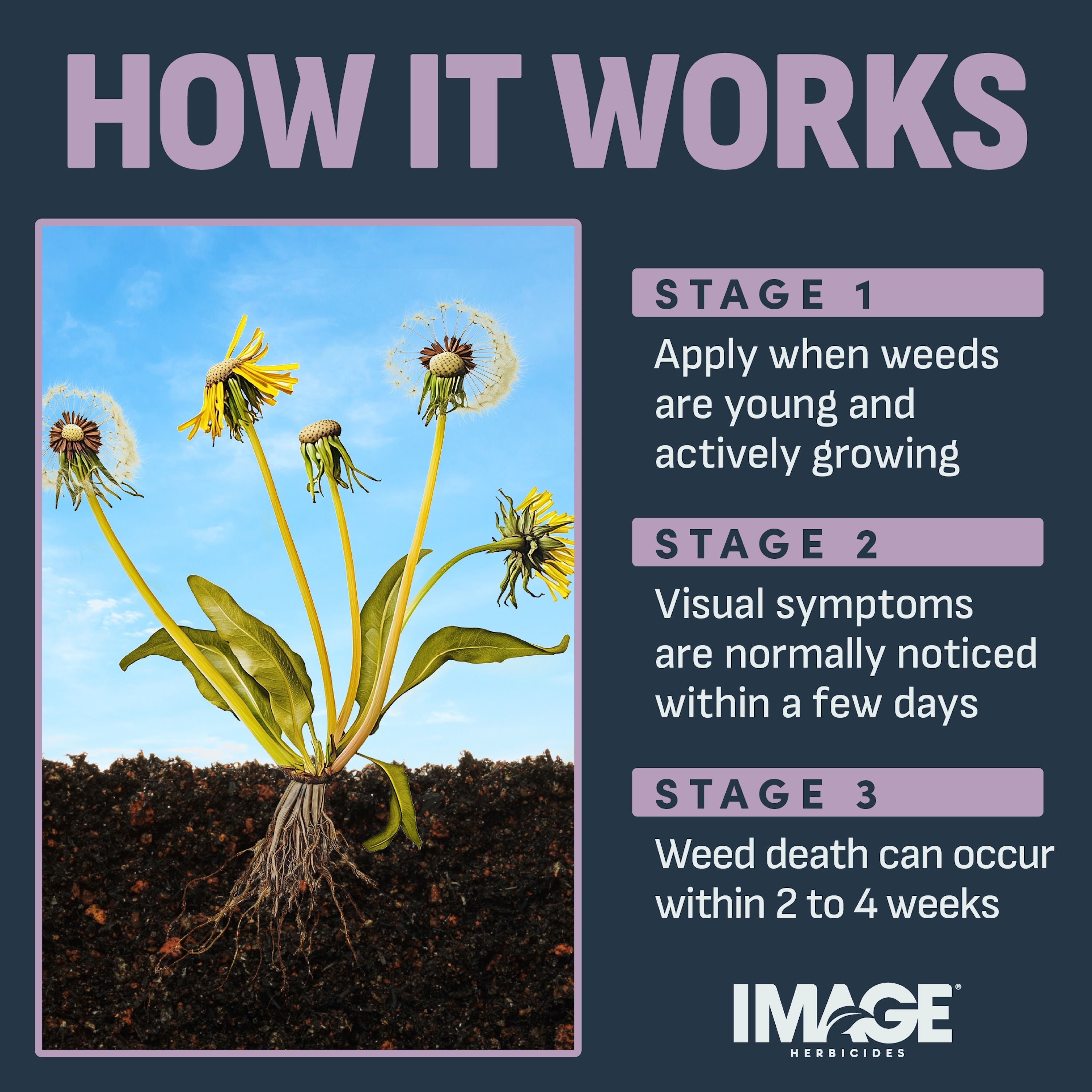 IMAGE 1357600425 Weed-Killers - View #6