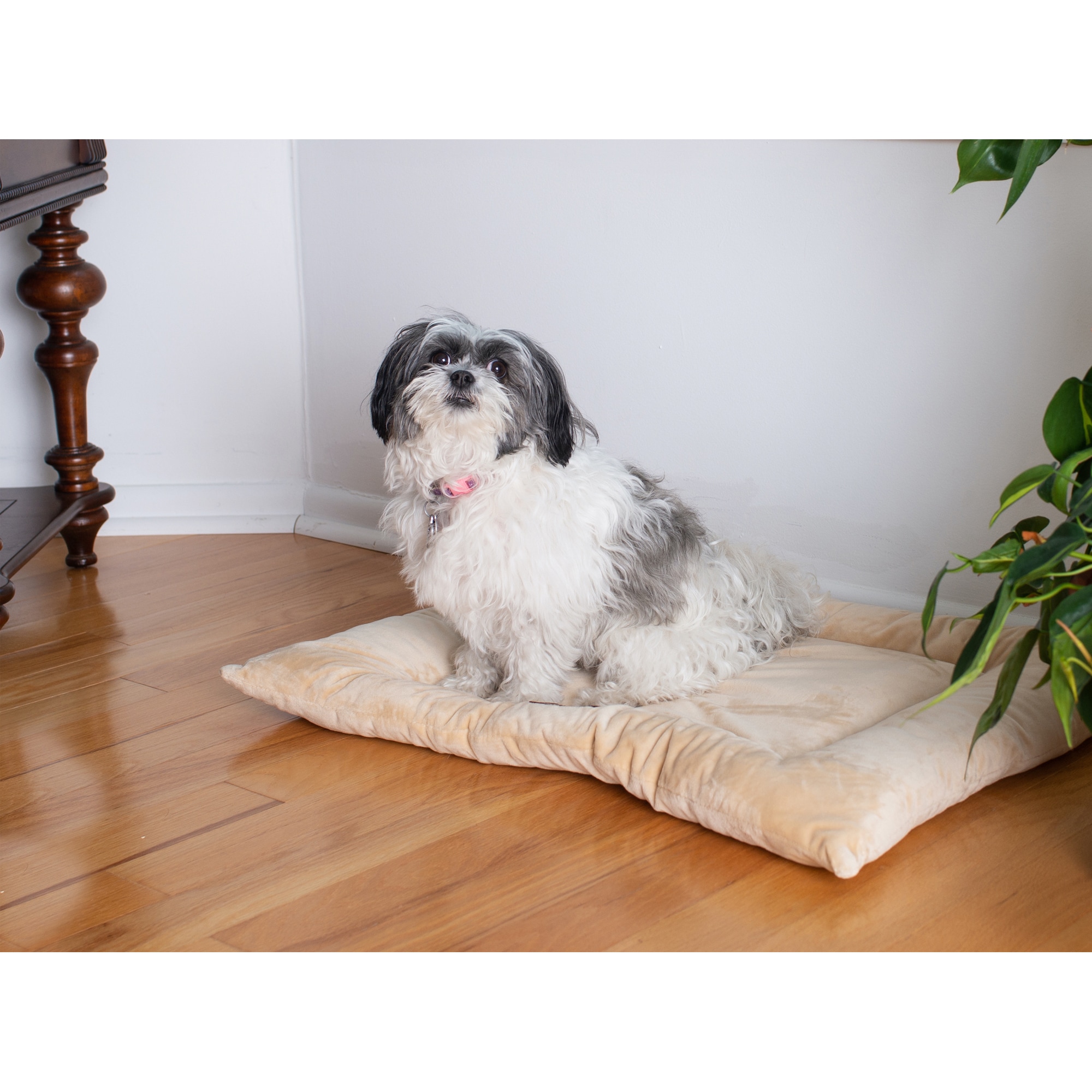Armarkat M01CMH-M Pet-Beds - View #8