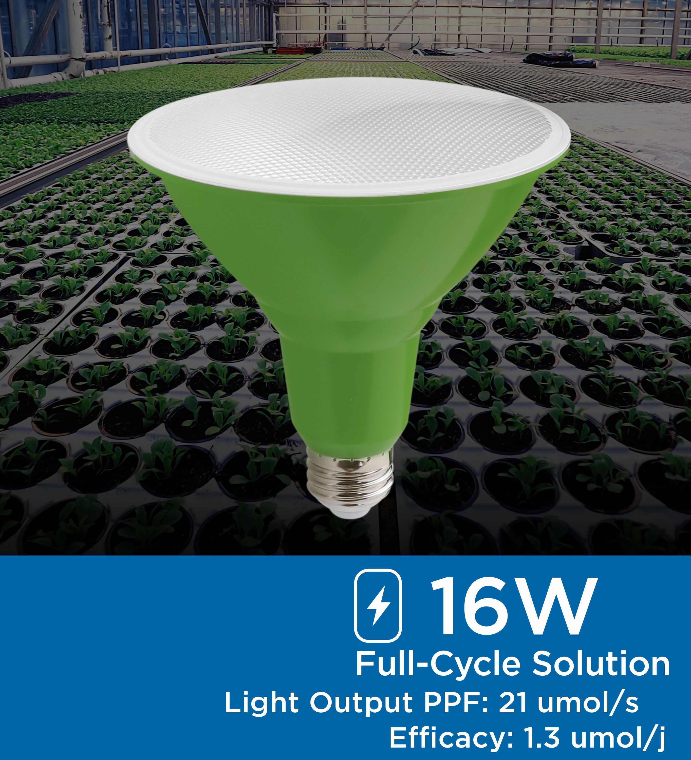 Viribright Lighting 290103 Grow-Light-Bulbs - View #2