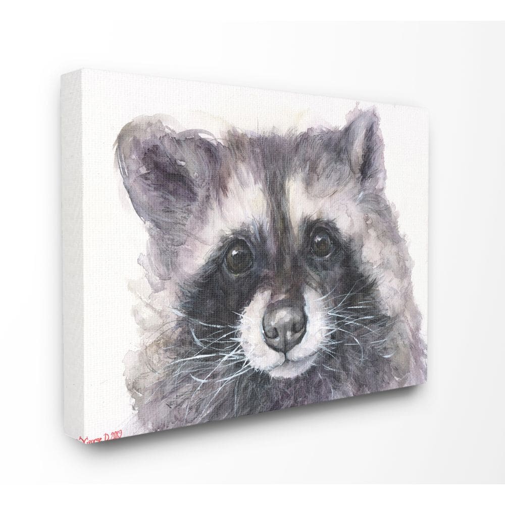 Racoon watercolour painting on canvas board