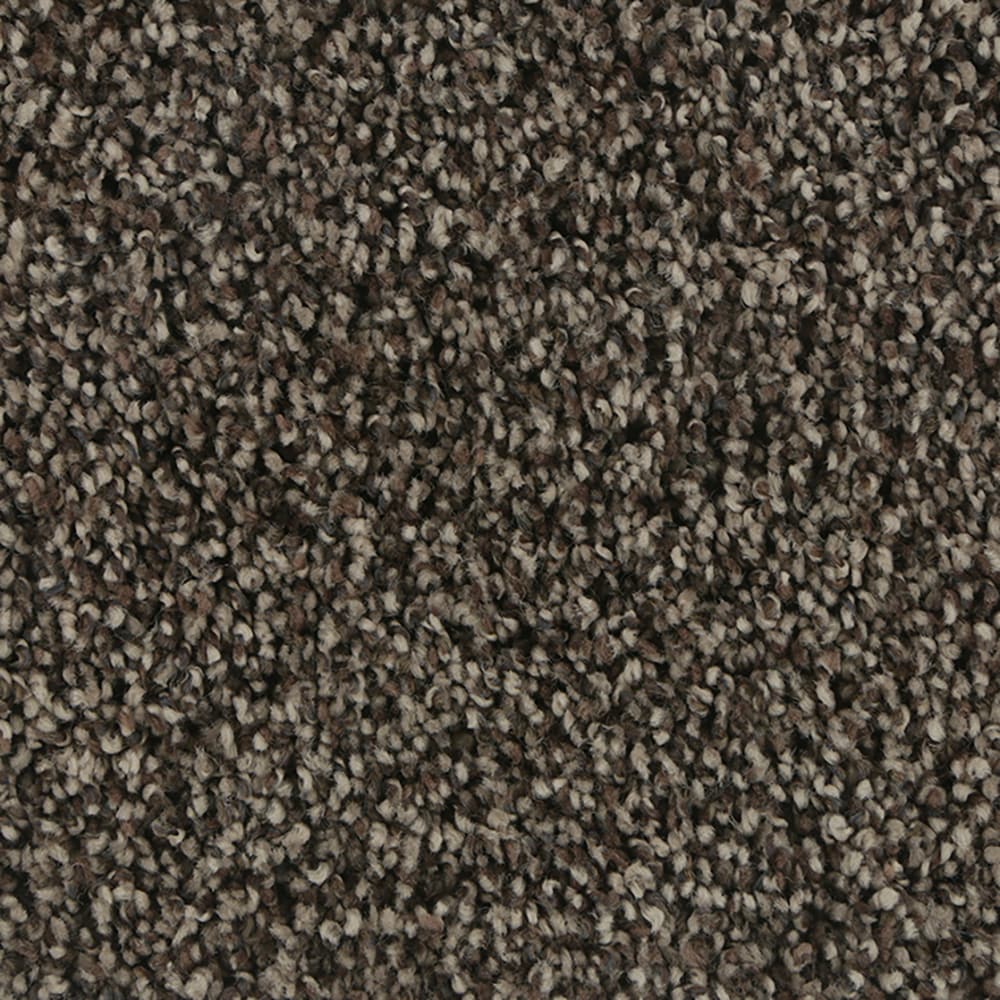 STAINMASTER STP52-12-L007 Refined Balance I Mountain ledge Brown 50-oz sq yard Polyester Textured Indoor Carpet