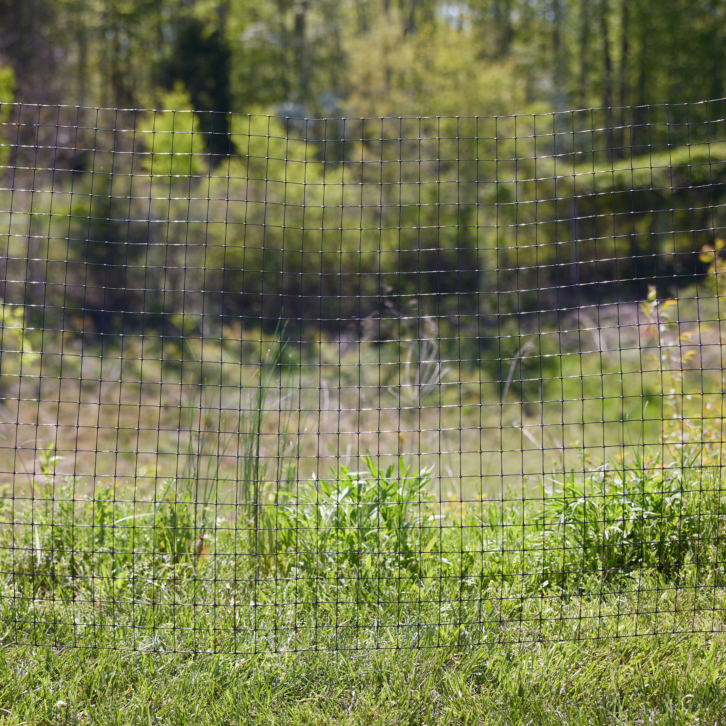 Tenax 2A140075 Rolled-Fence - View #3