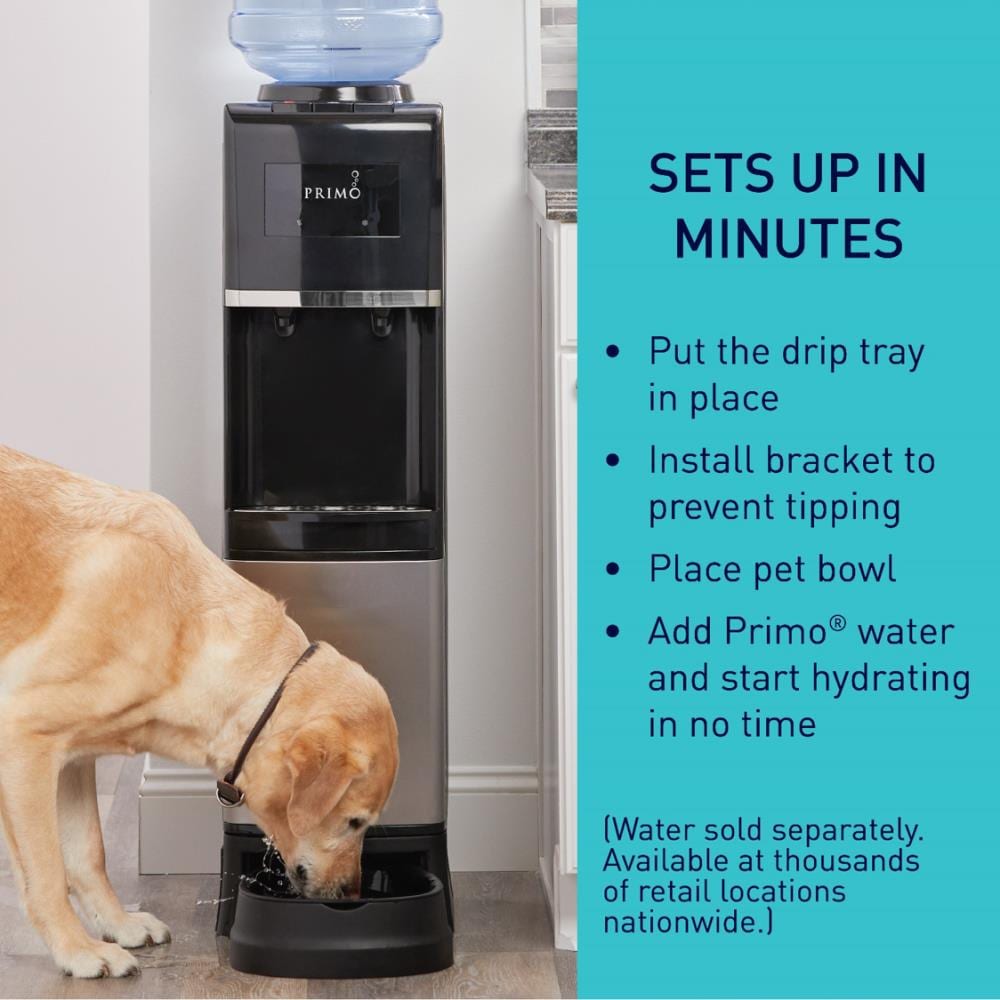 Pet Water Dispenser - ApolloBox