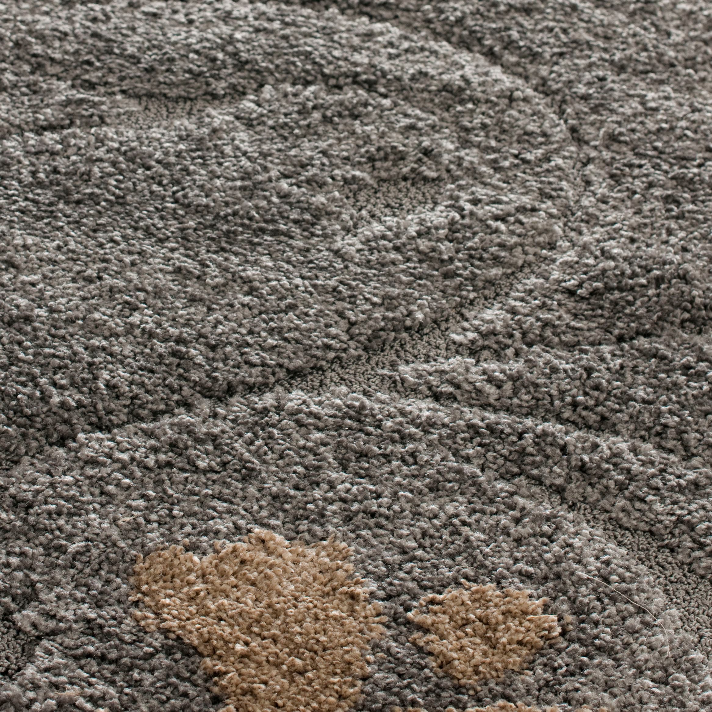 Safavieh SG464-8013-68 rugs - View #4