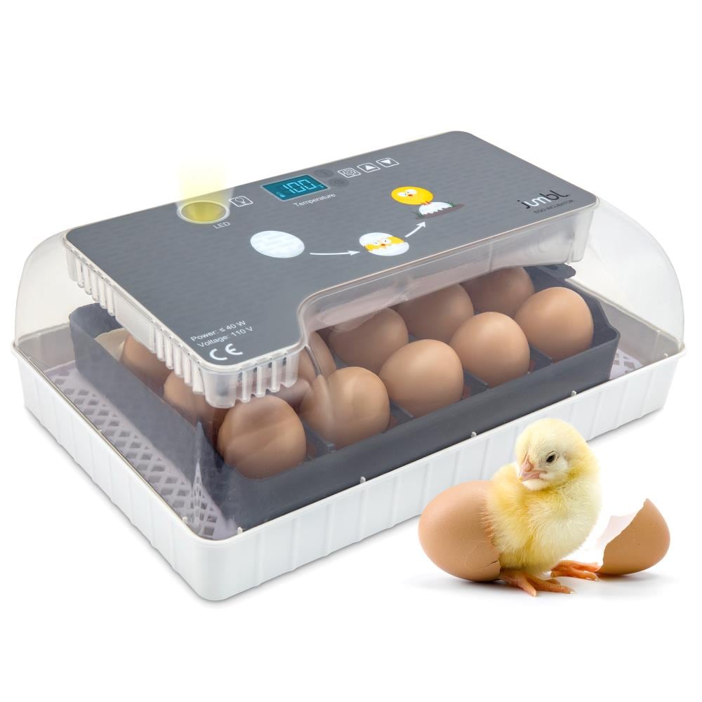 Jumbl Gray Plastic Chicken Egg Incubator for 15 Eggs – Light-duty, Enclosed, Rectangle Shape – Ideal for Growing a Variety of Birds – Easy to Use