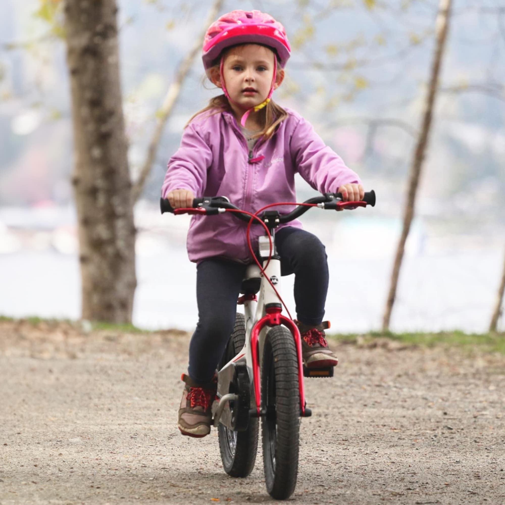 Royal Baby 321031 bikes - View #11