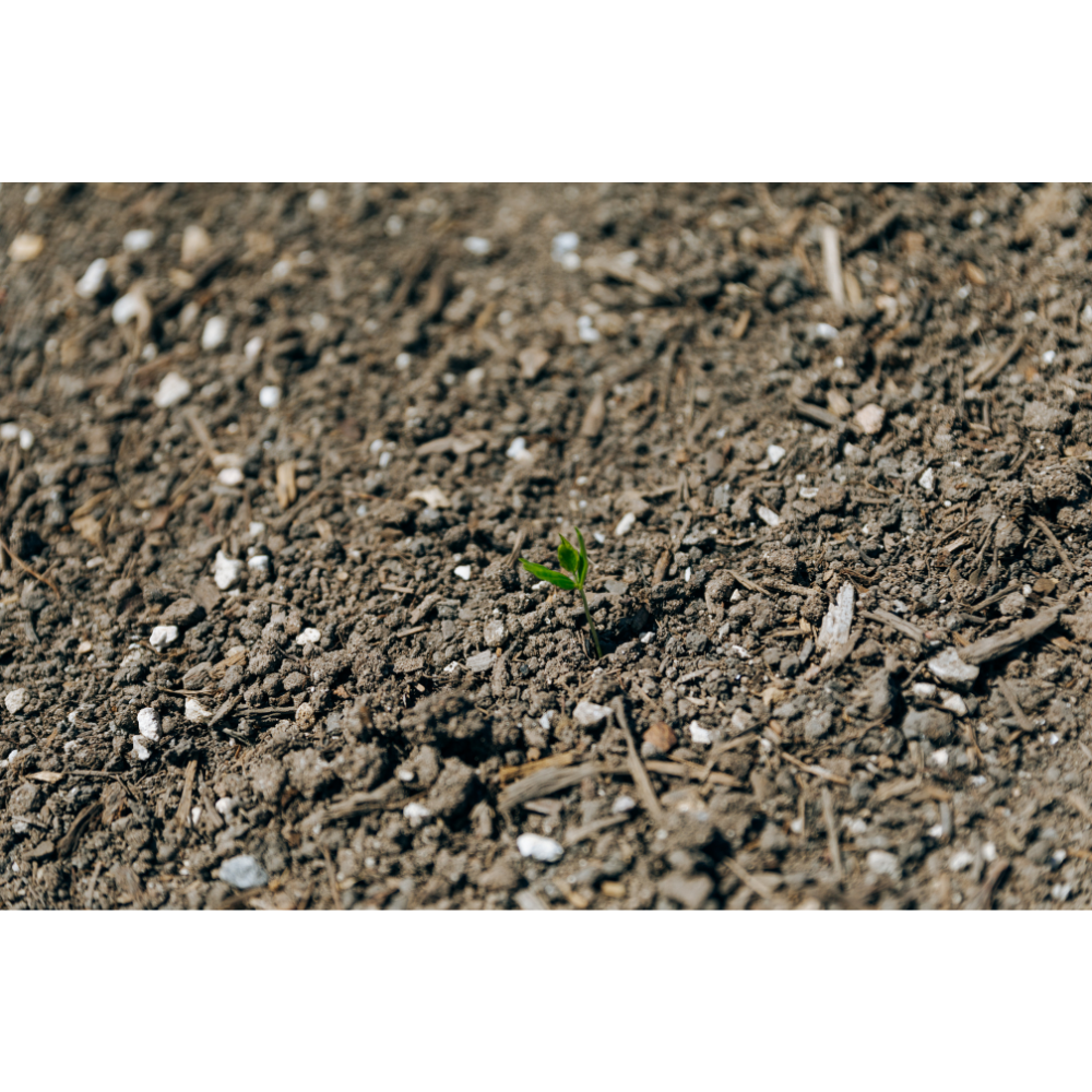 Texas Native 234833 Soil-Conditioner - View #4