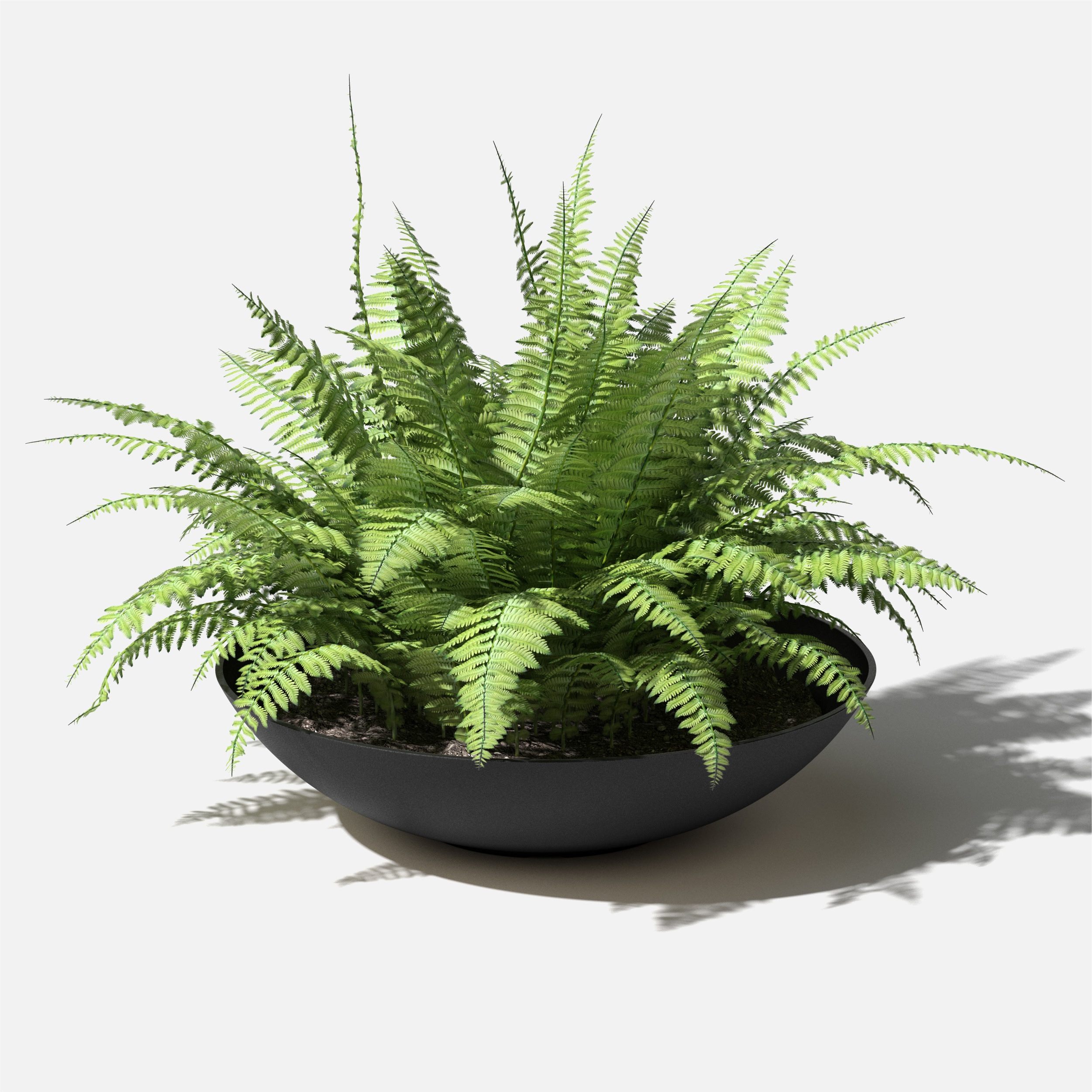 Veradek LBV32B Planter-Window-Box - View #9