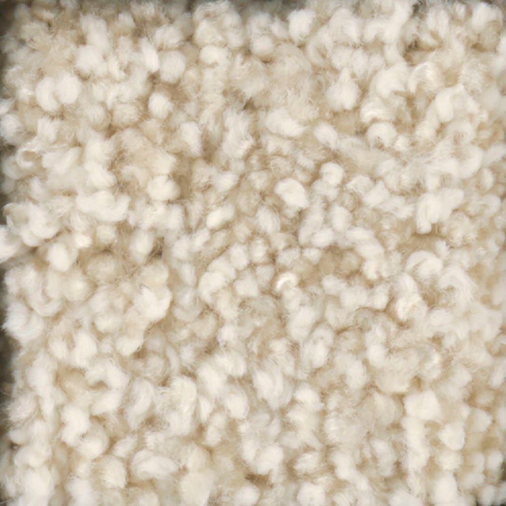 STAINMASTER S663008HOMINY- (T) (Sample) TruSoft Dynamic Beauty III Hominy Textured Carpet