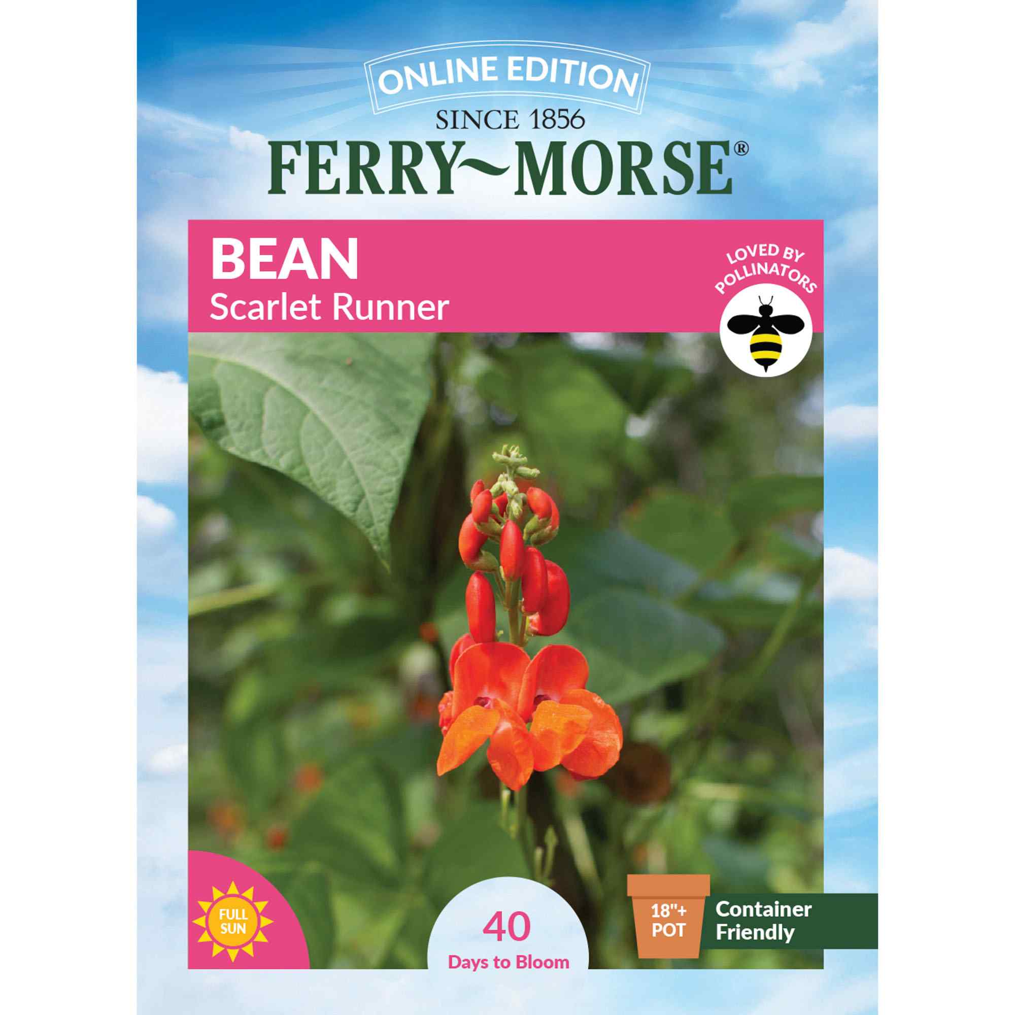 Ferry-Morse LC25.5231 Bean Scarlet Runner Seeds 8.8 Gram(s)