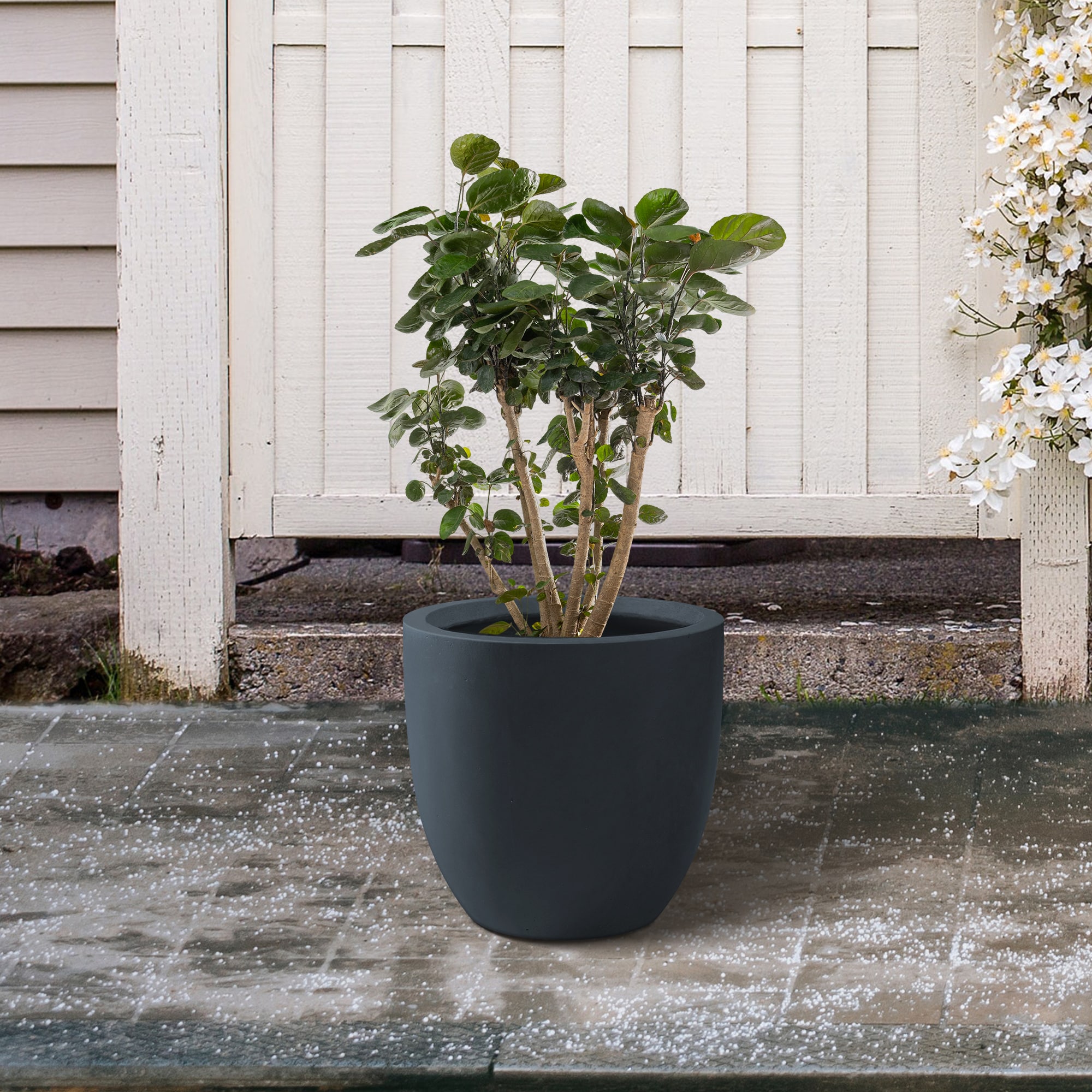 KANTE QXC0152B-C60121 Planter-Window-Box - View #3