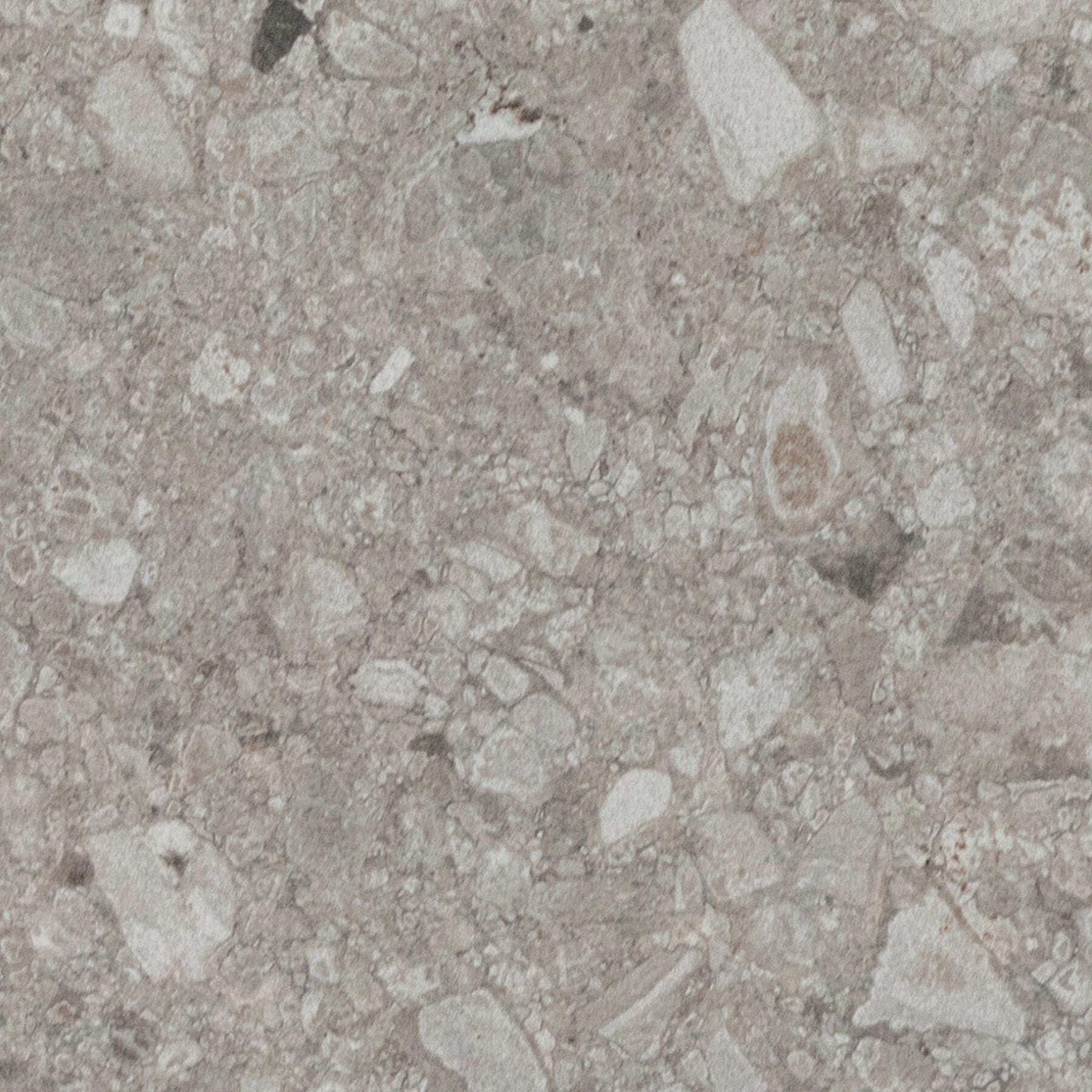 Daltile Assemble Proxy 32-in x 32-in Textured Porcelain Floor Tile at ...