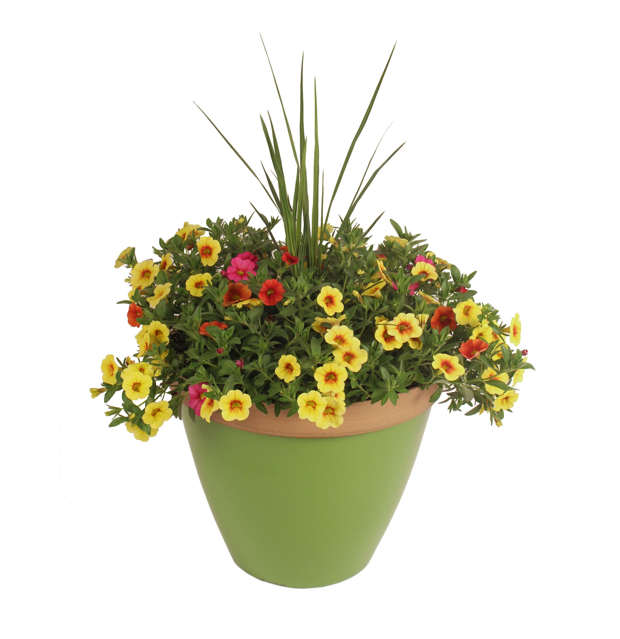 Lowe's Multicolor Mixed Annuals Combinations in 3-Gallon Planter in the ...