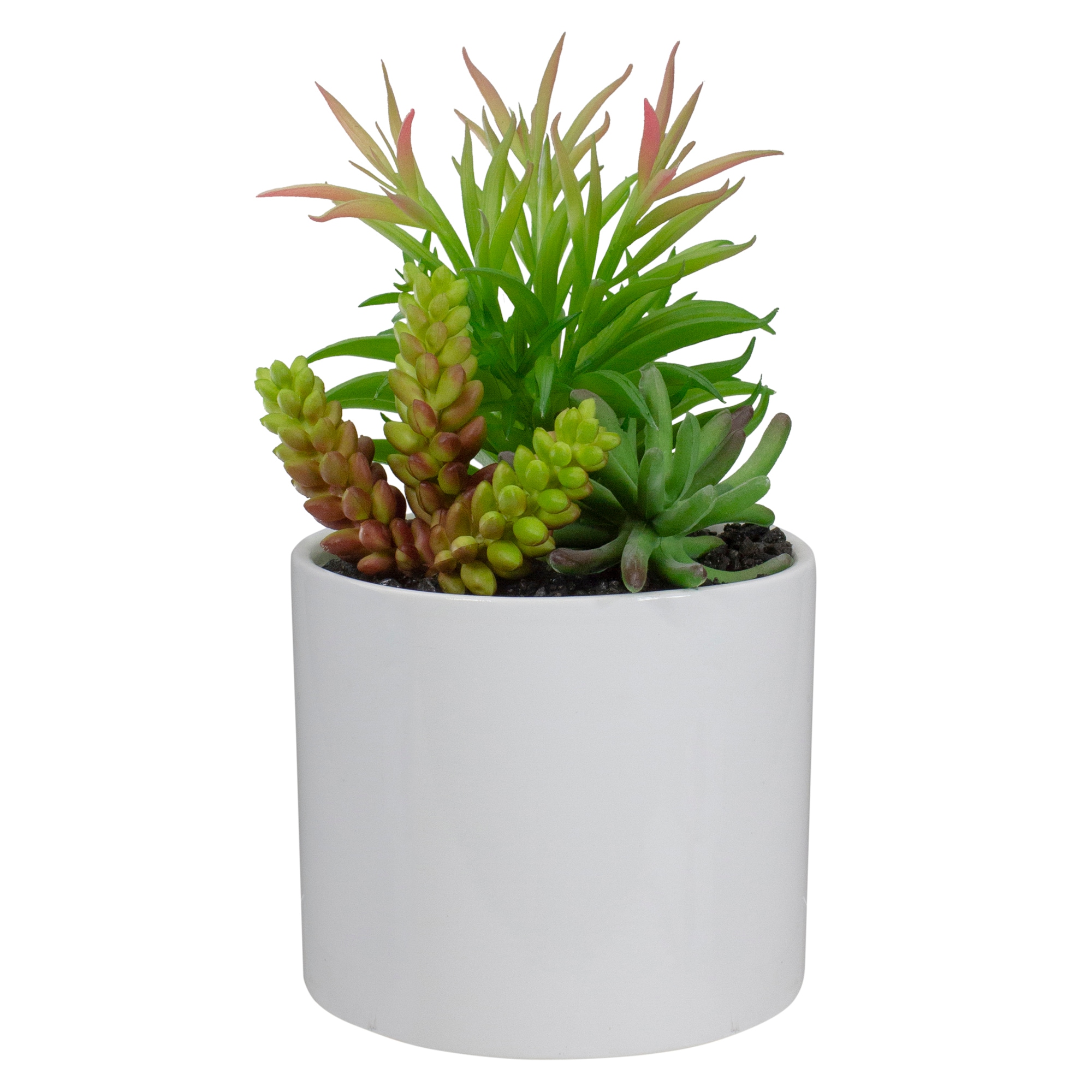 Northlight 9 In White Indoor Succulent Artificial Plant In The Artificial Plants And Flowers 1363