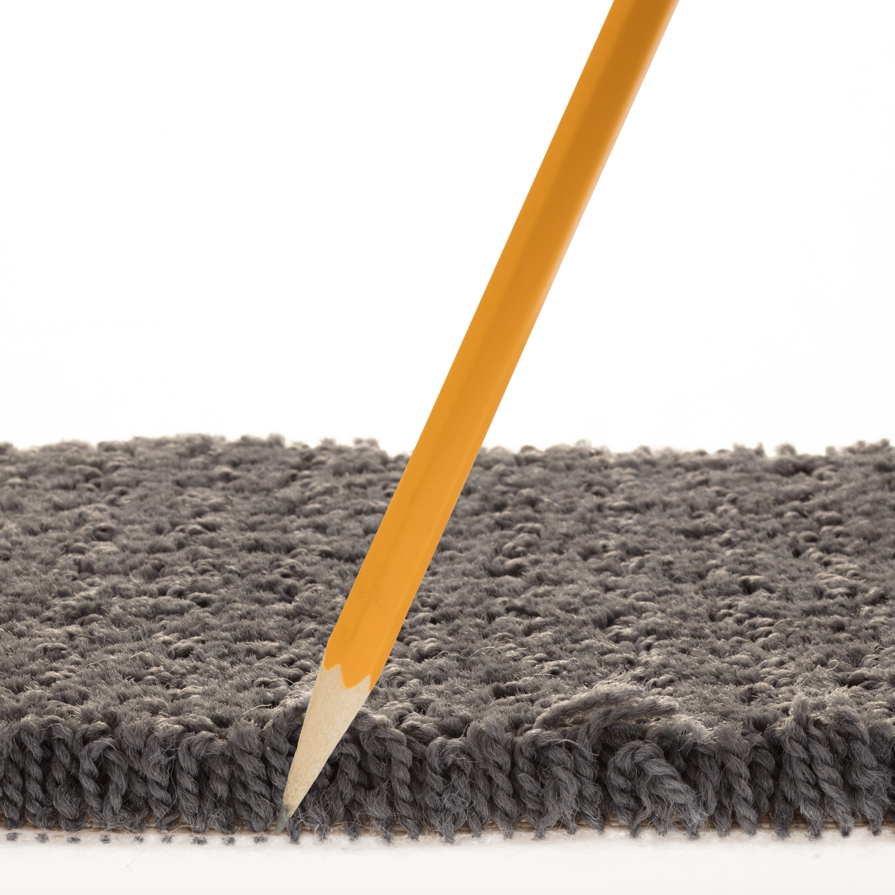 STAINMASTER PetProtect 7L85400450 Carpet-Panel - View #8