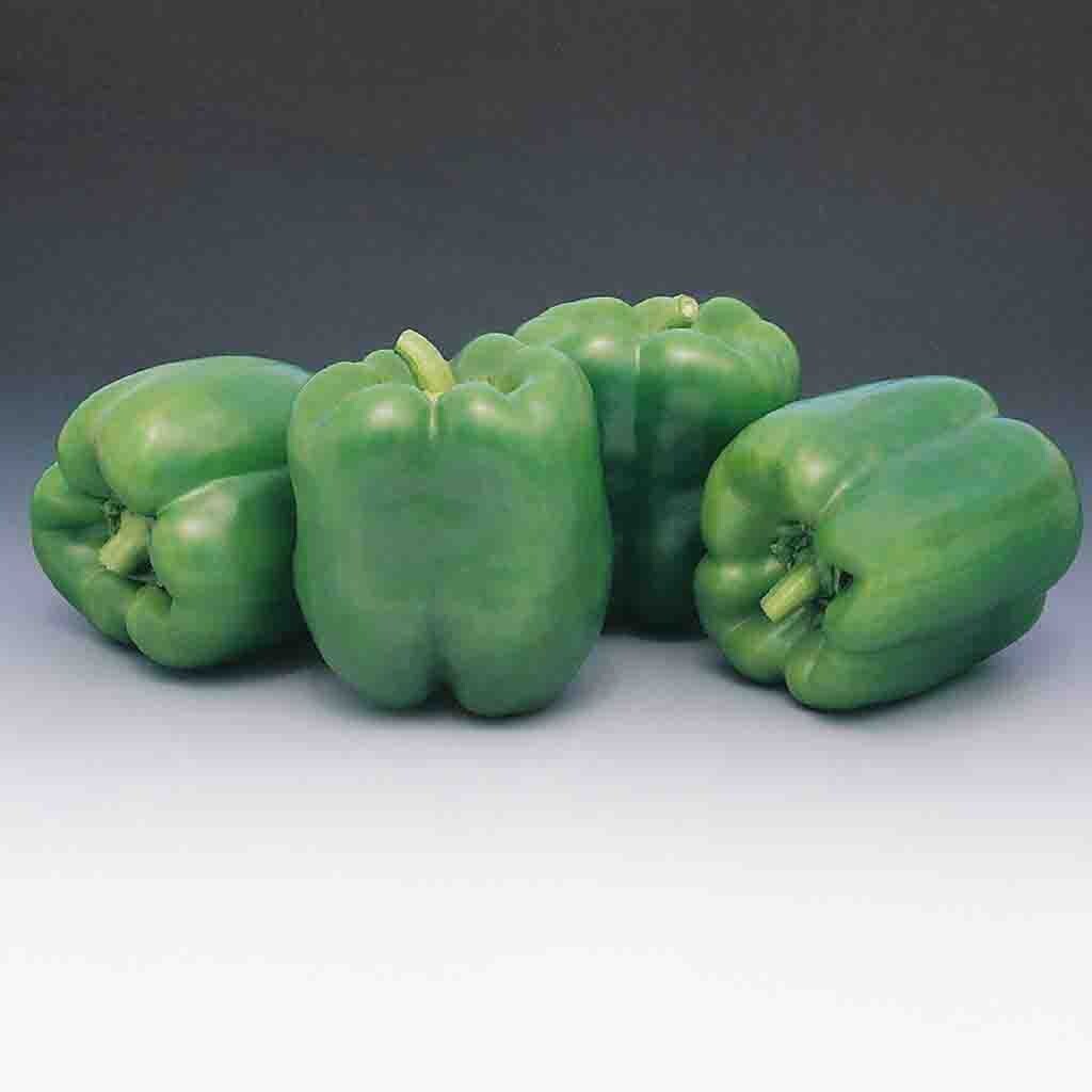 Ferry-Morse LC25.4096 Vegetable-Herb-Seeds - View #3