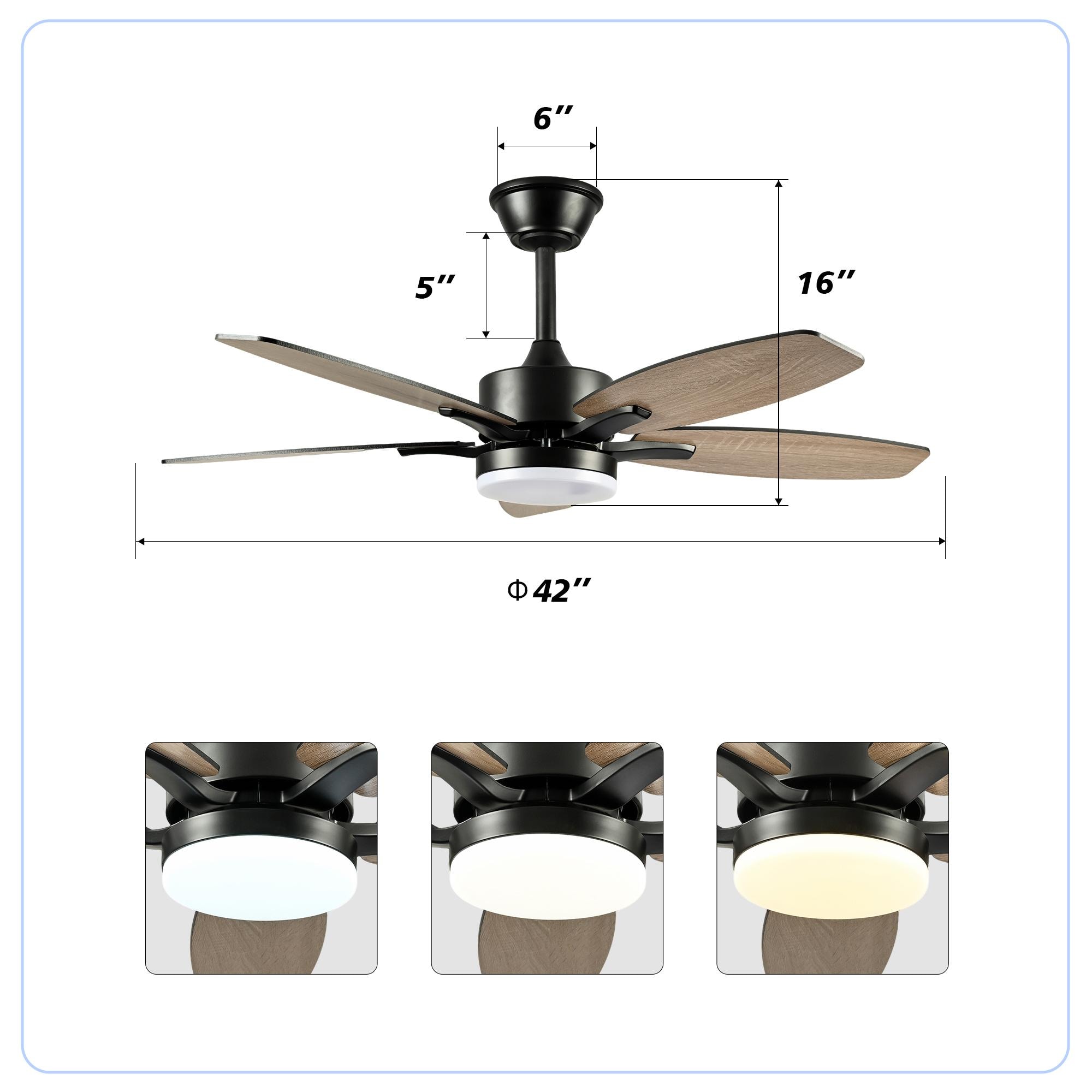Bayfeve BF-462053-MP Ceiling-Fans - View #13