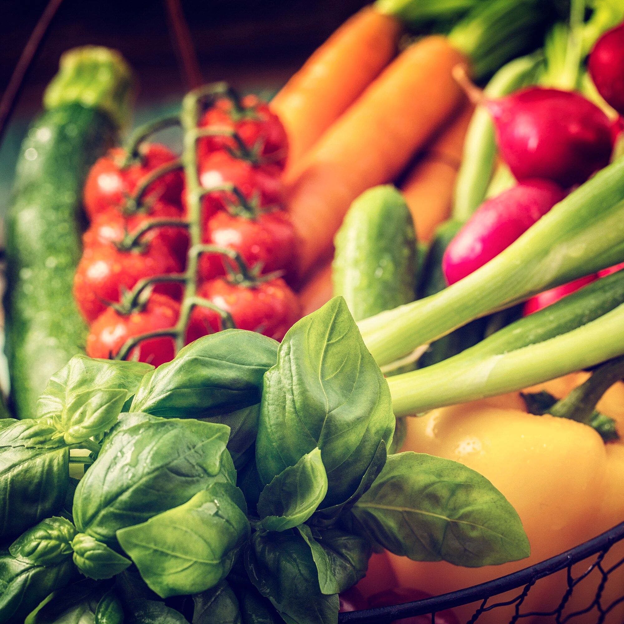 Back to the Roots 50075 Vegetable-Herb-Seeds - View #8