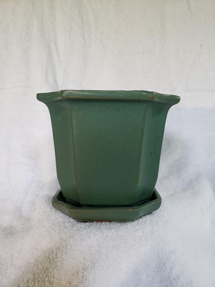 Olinda Bonsai 1514168 Round 4.99-in W Multiple colors/finishes Ceramic with Drainage Holes Attached Saucer