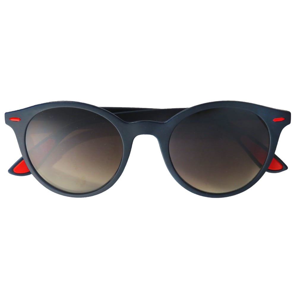 Hillman Adult Unisex Blue Plastic Sunglasses | 1HE88750